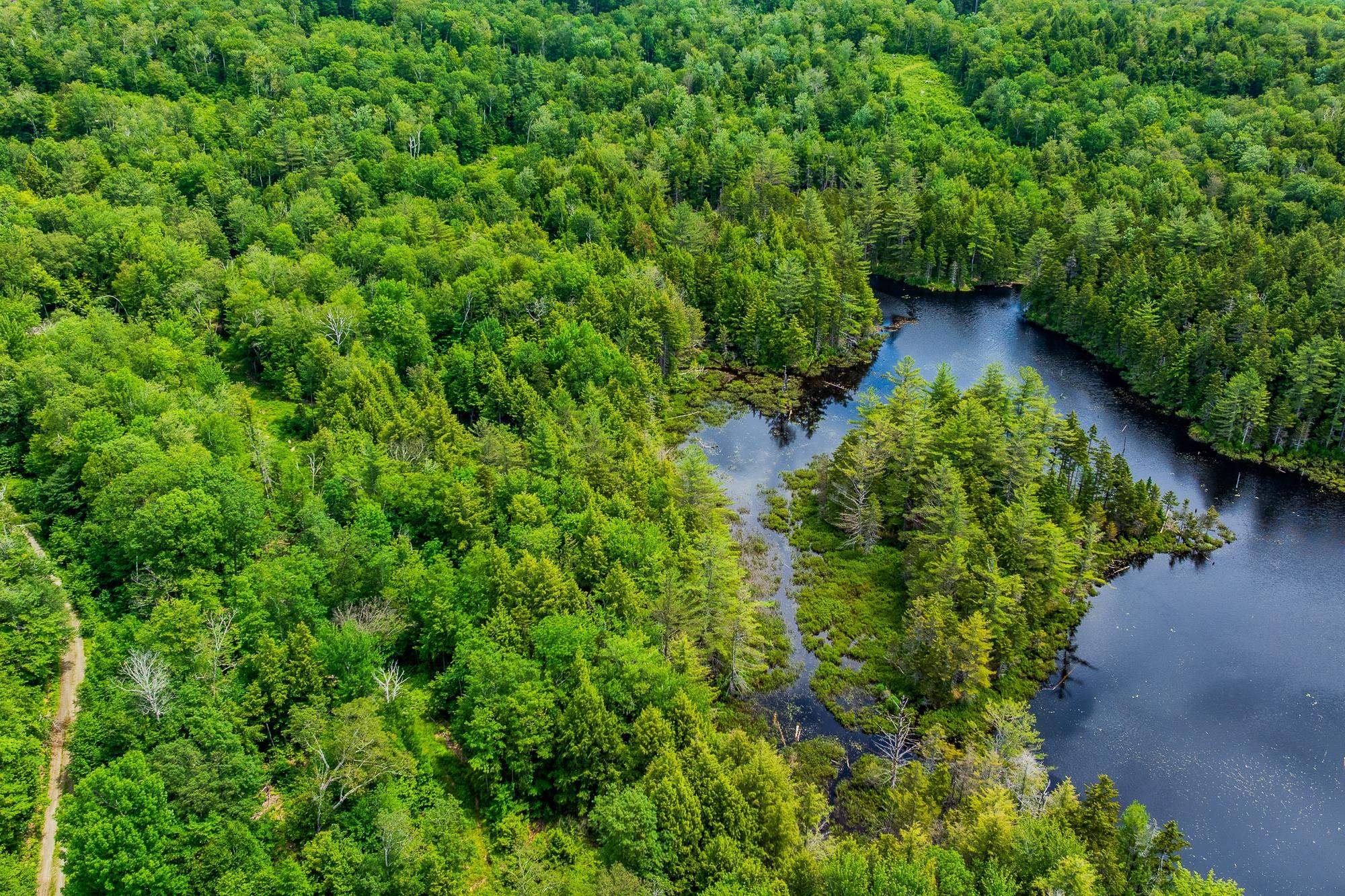 108 Acres of Pristine Land 2 Miles to Stratton