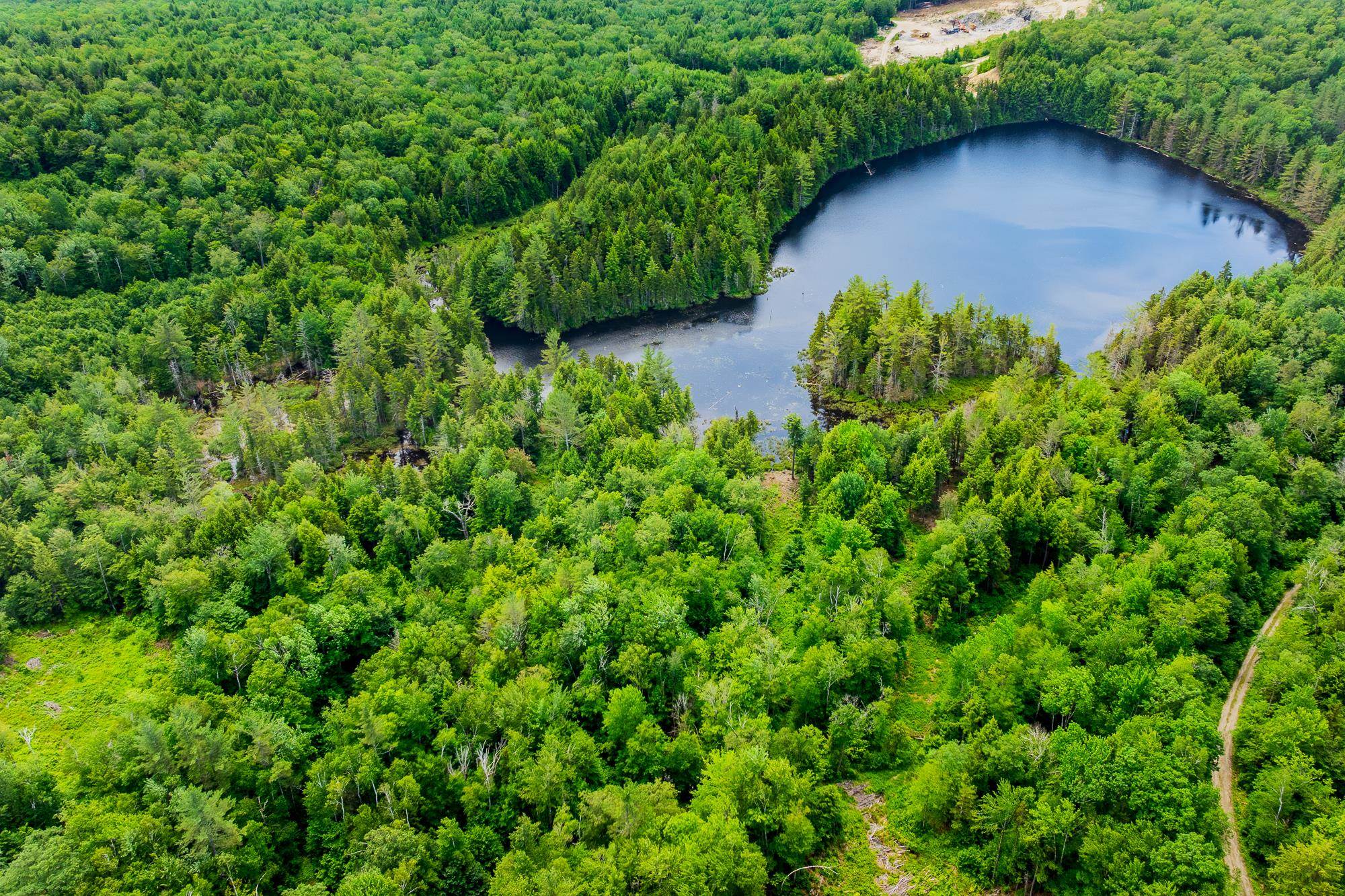 108 Acres of Pristine Land 2 Miles to Stratton