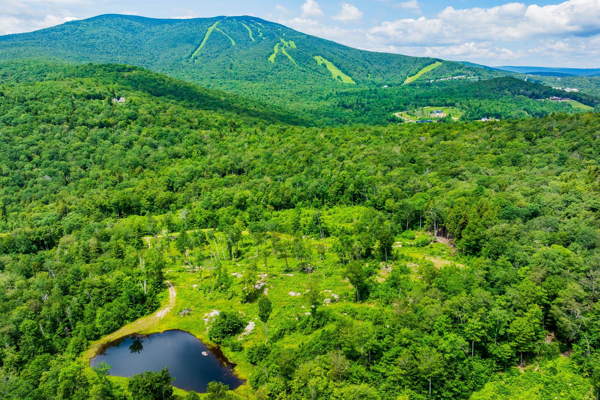 108 Acres of Pristine Land 2 Miles to Stratton