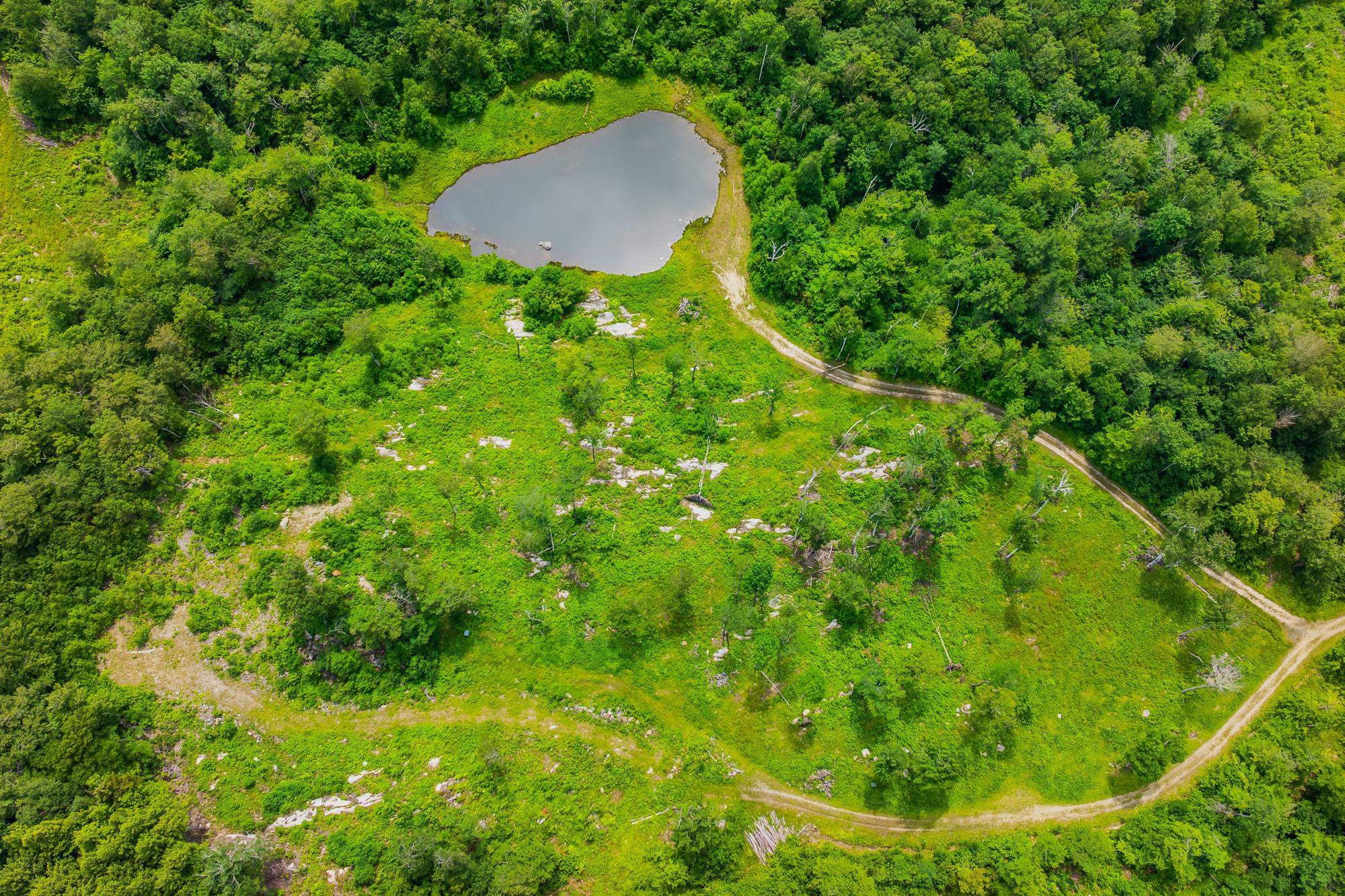 108 Acres of Pristine Land 2 Miles to Stratton