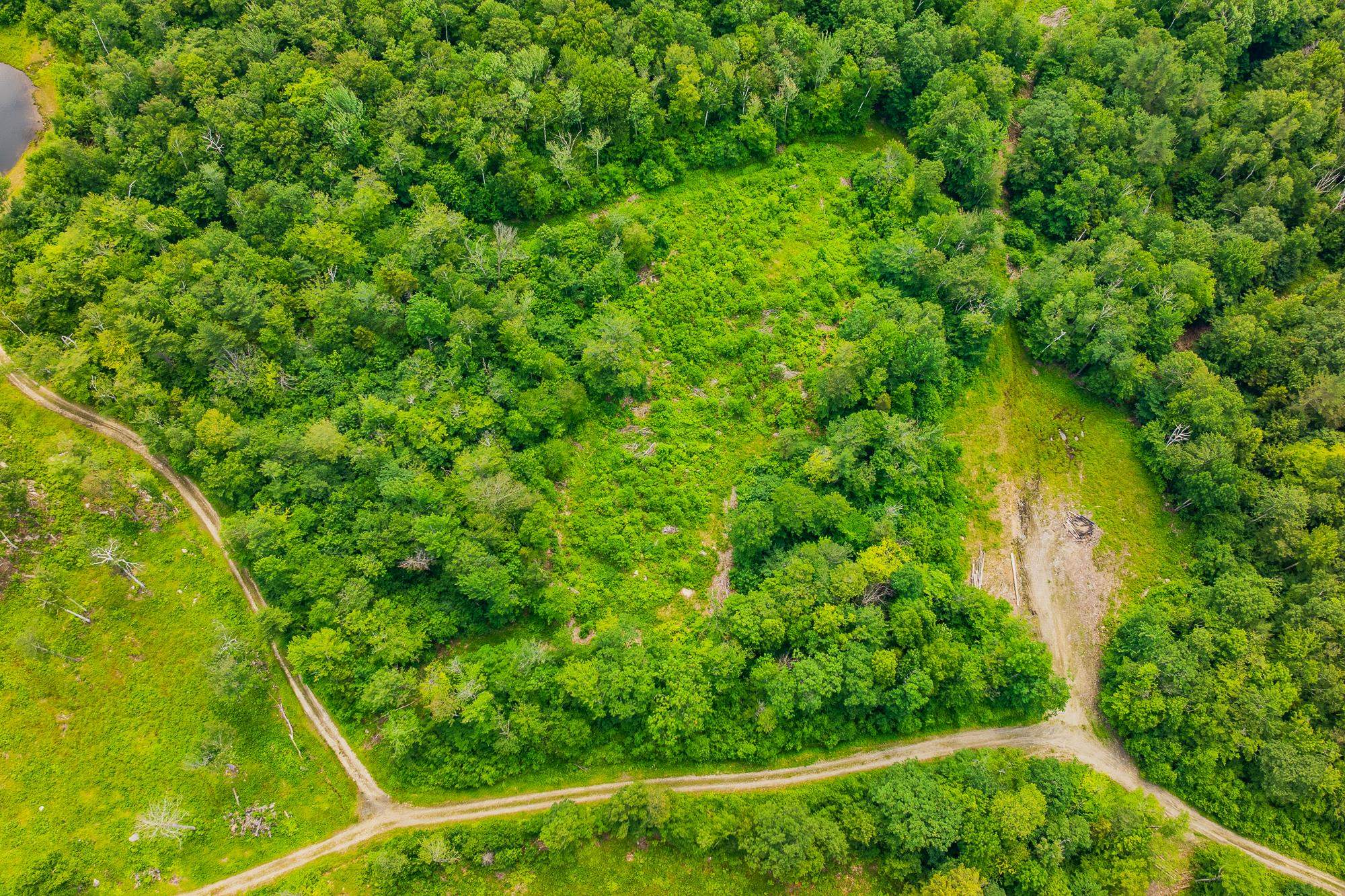 108 Acres of Pristine Land 2 Miles to Stratton