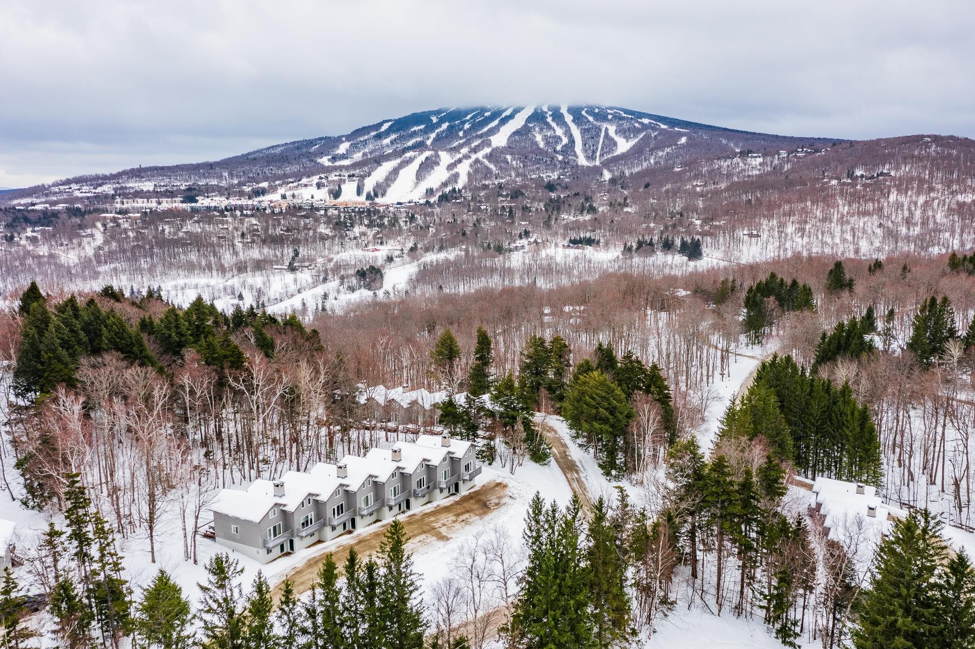 33 Birch Hill Road Unit: 8 Rock Maple