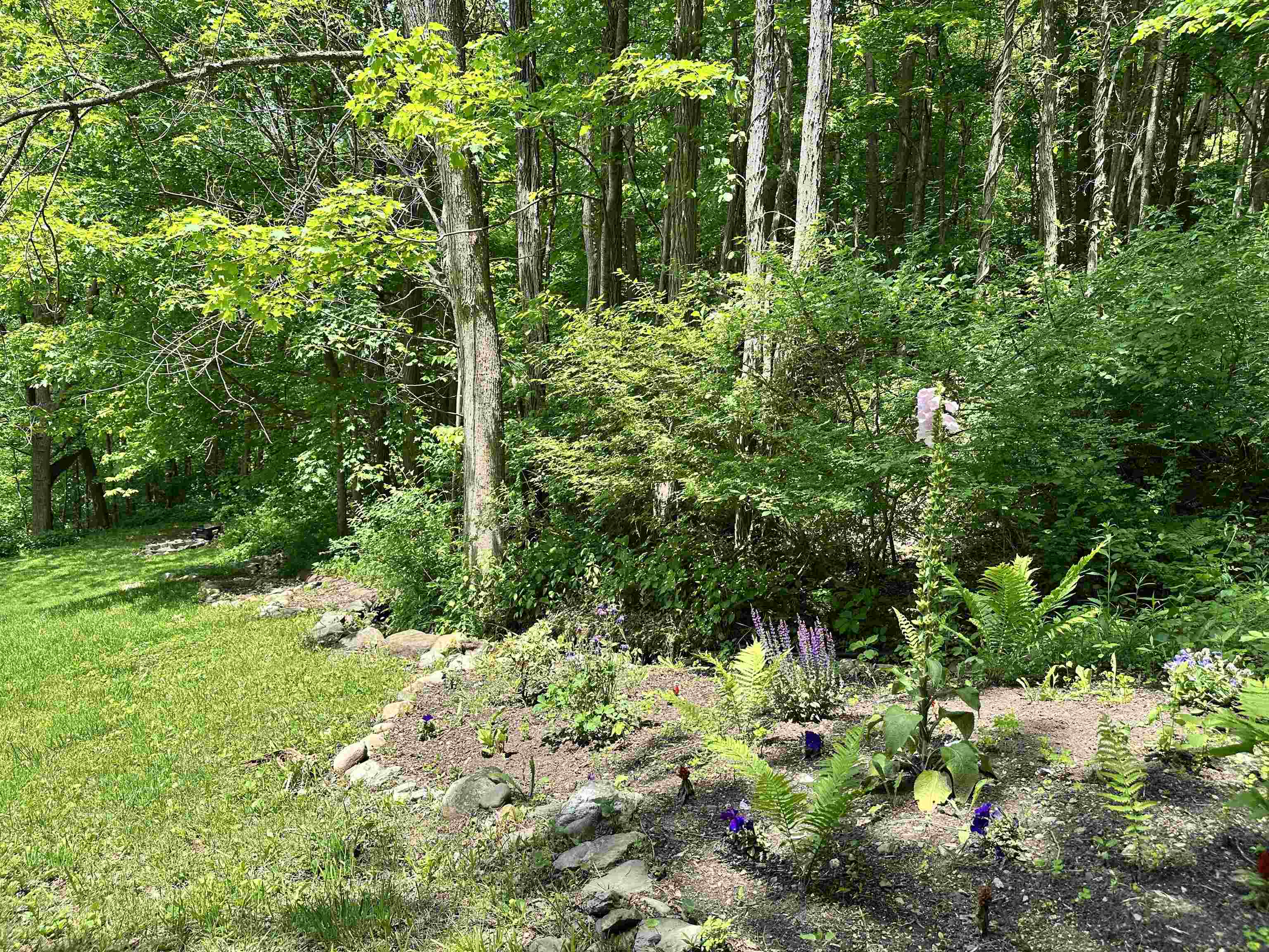 806 Vermont Route 313