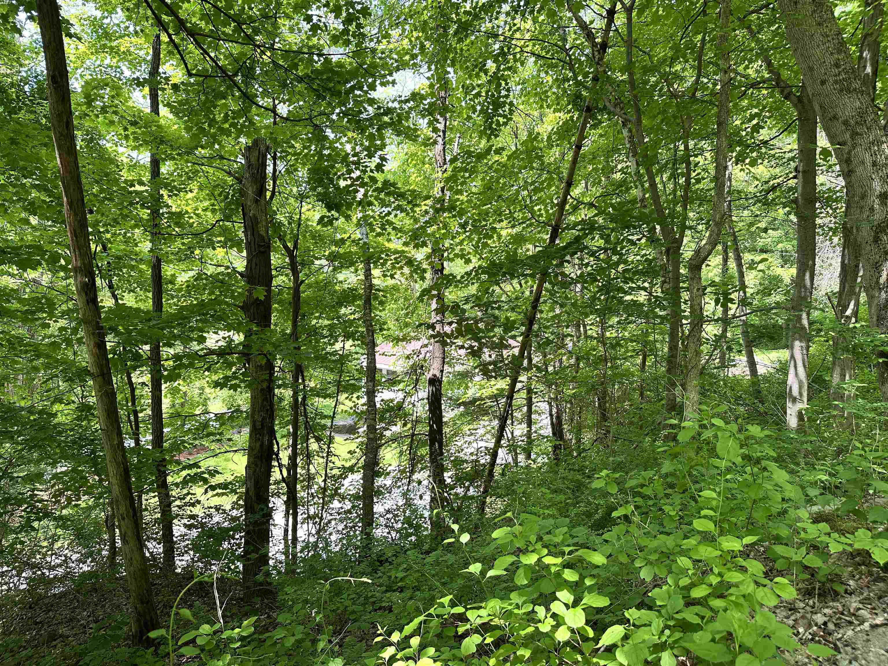 806 Vermont Route 313