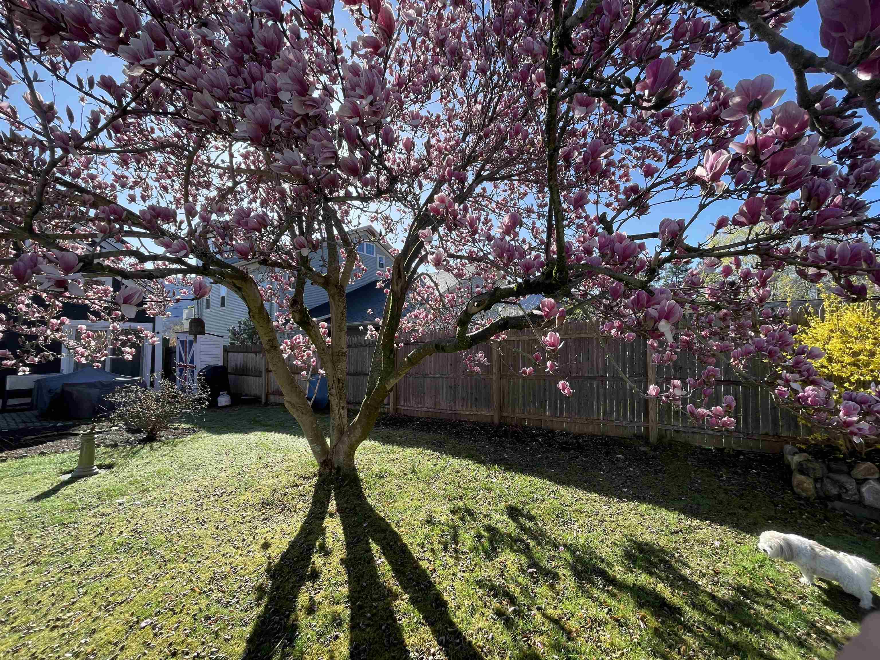 30 South Main Street