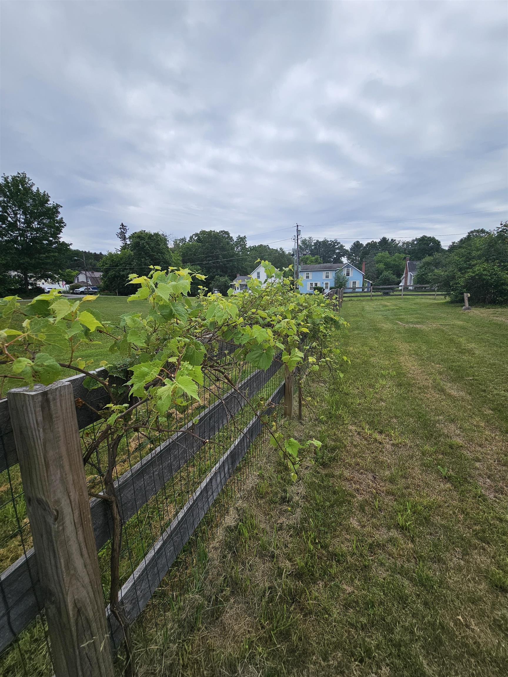 174 Cleveland Avenue