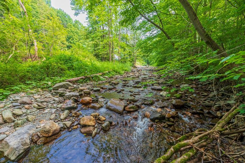 1148 Kent Hollow Road