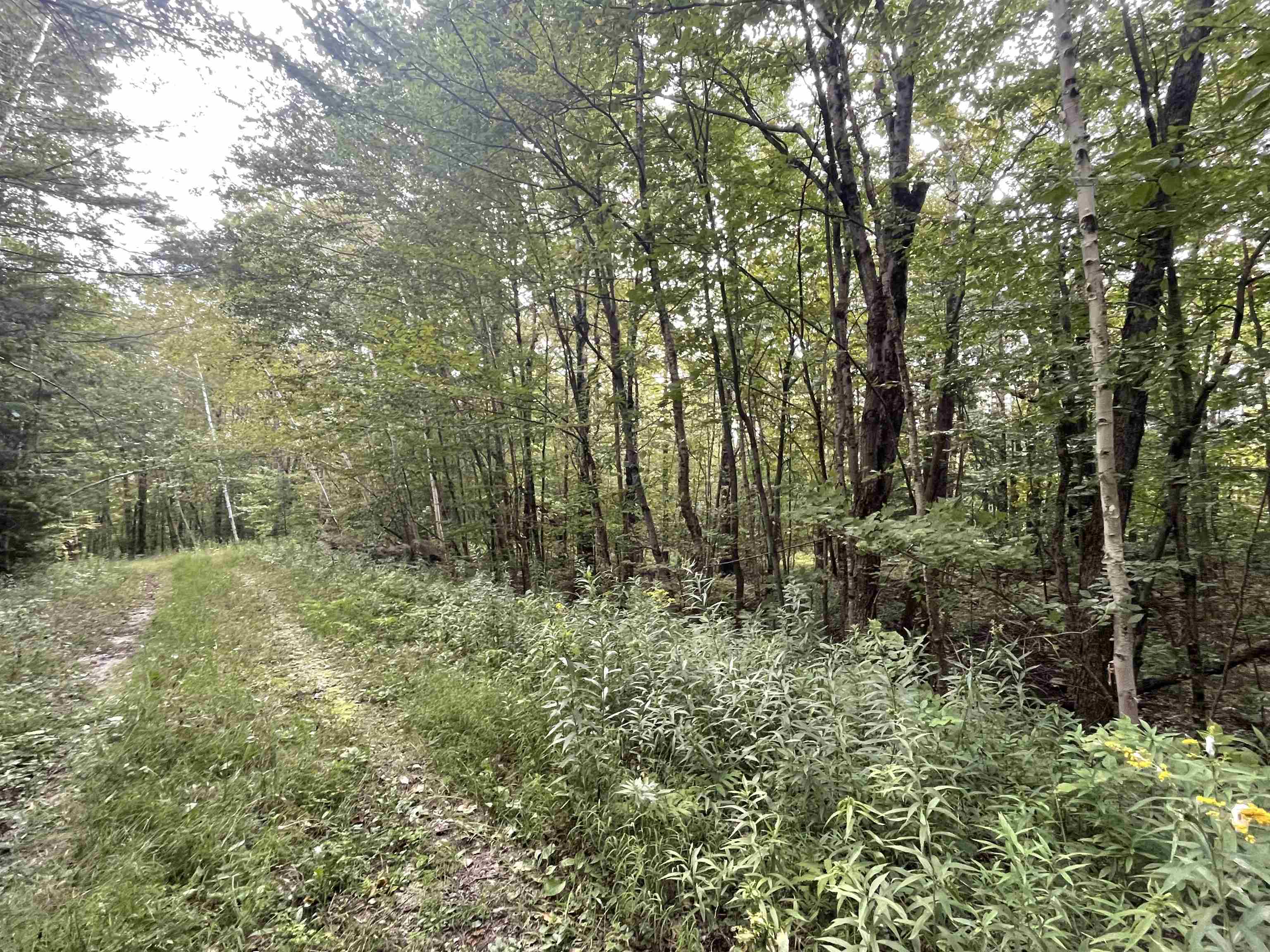 000 Wonder Lane Unit: LOT 15