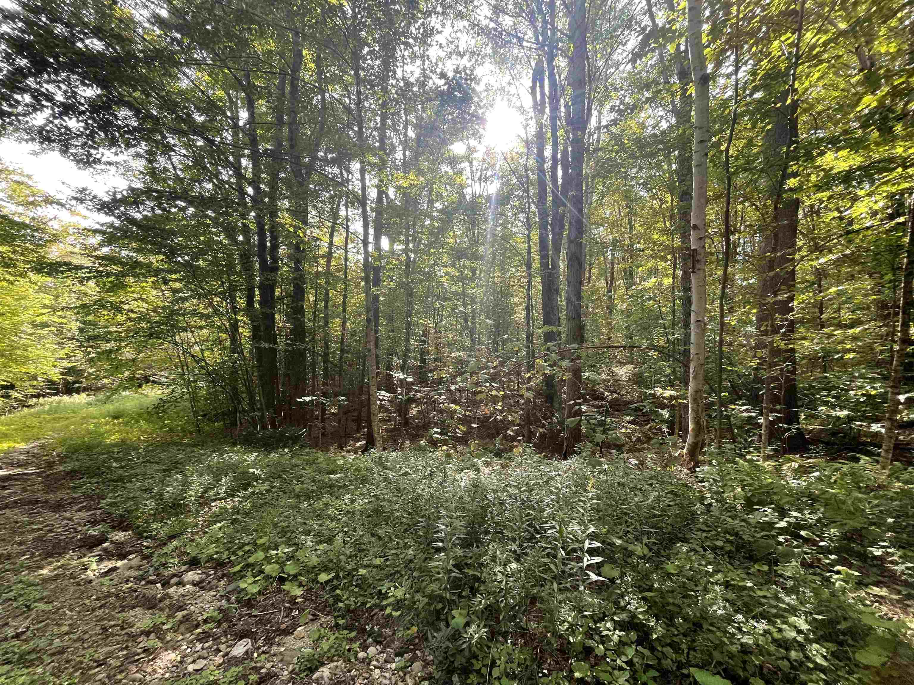 000 Wonder Lane Unit: LOT 15