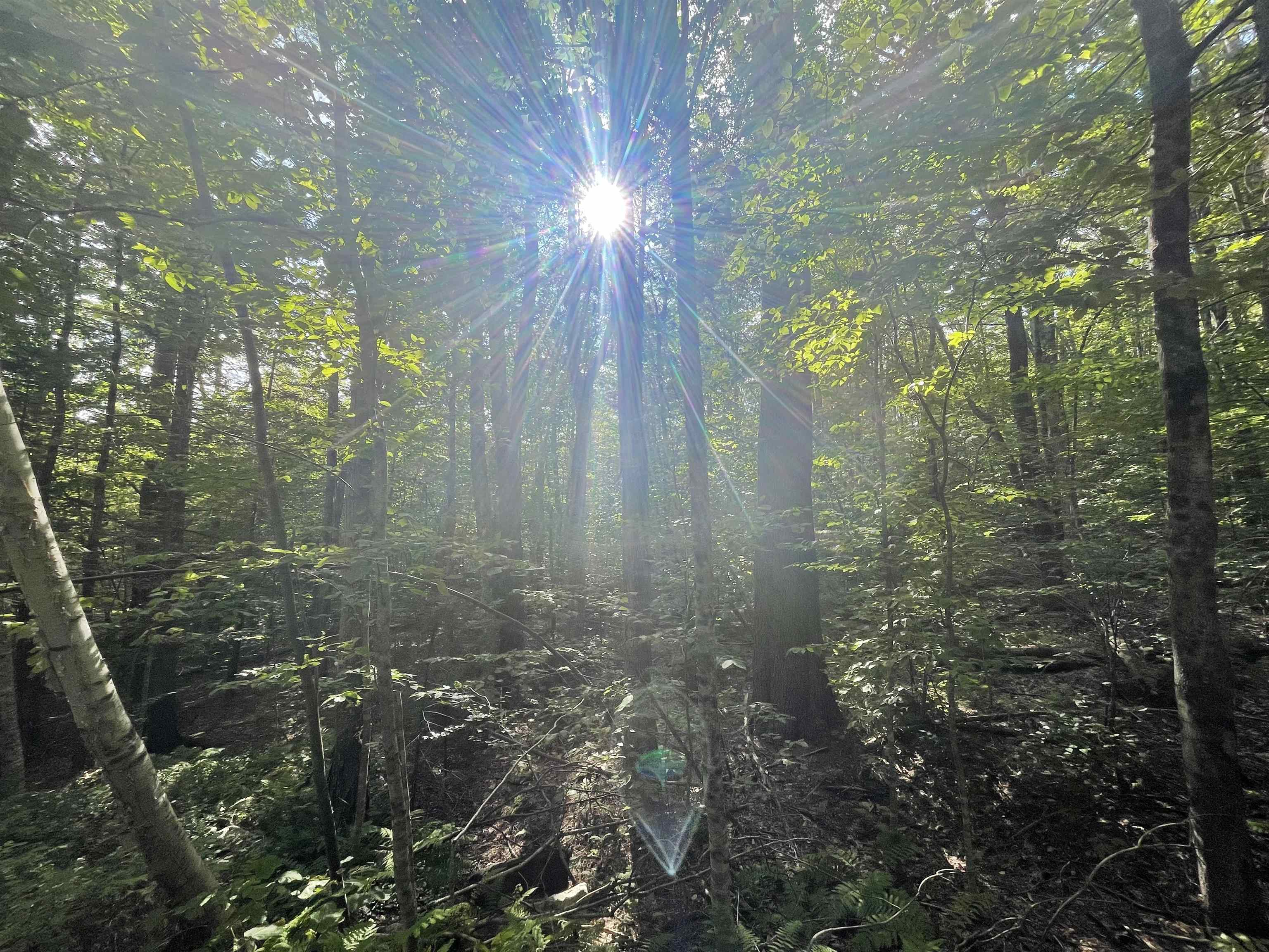 000 Wonder Lane Unit: LOT 15