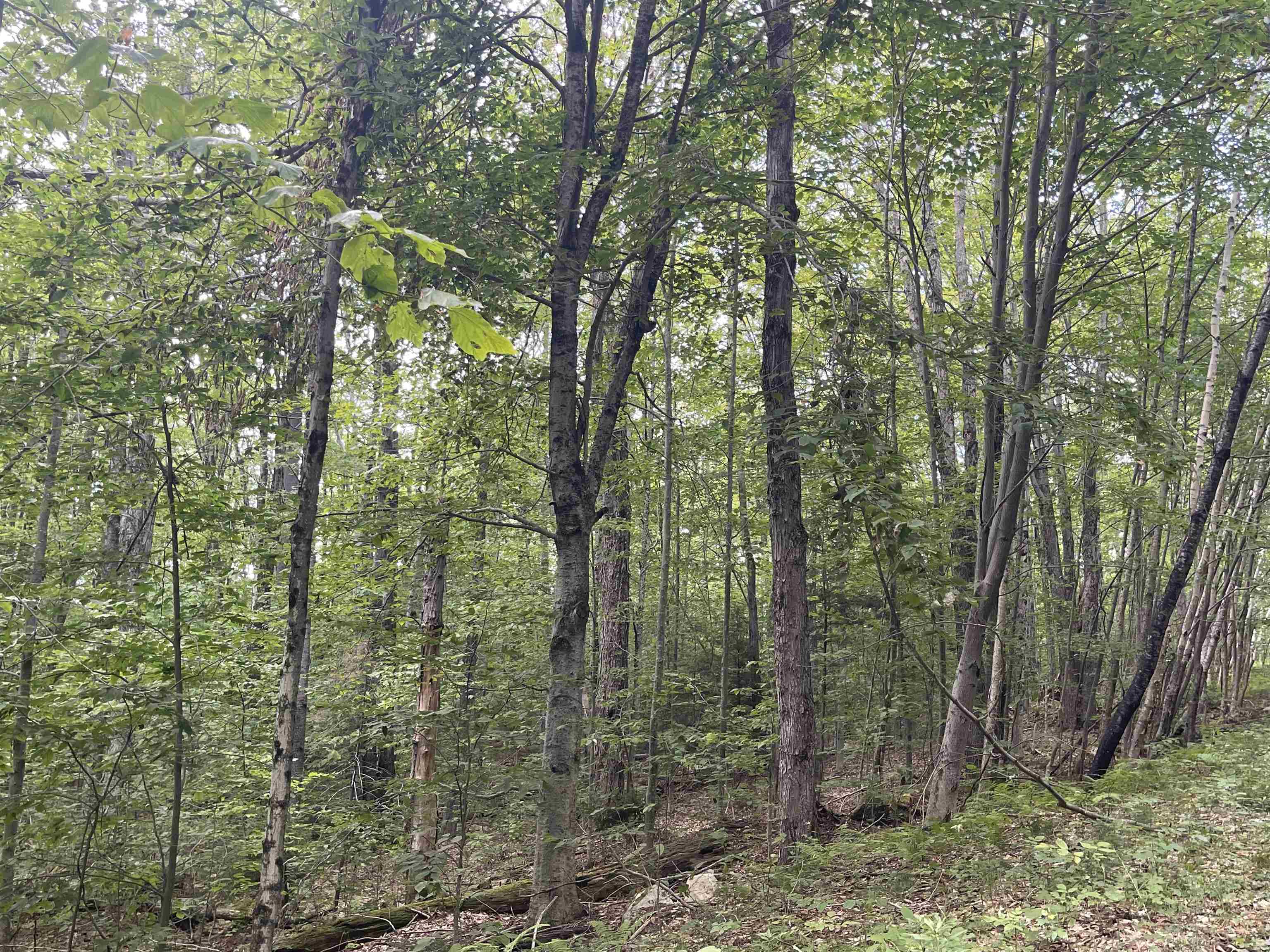 0000 Wonder Lane Unit: Lot 18