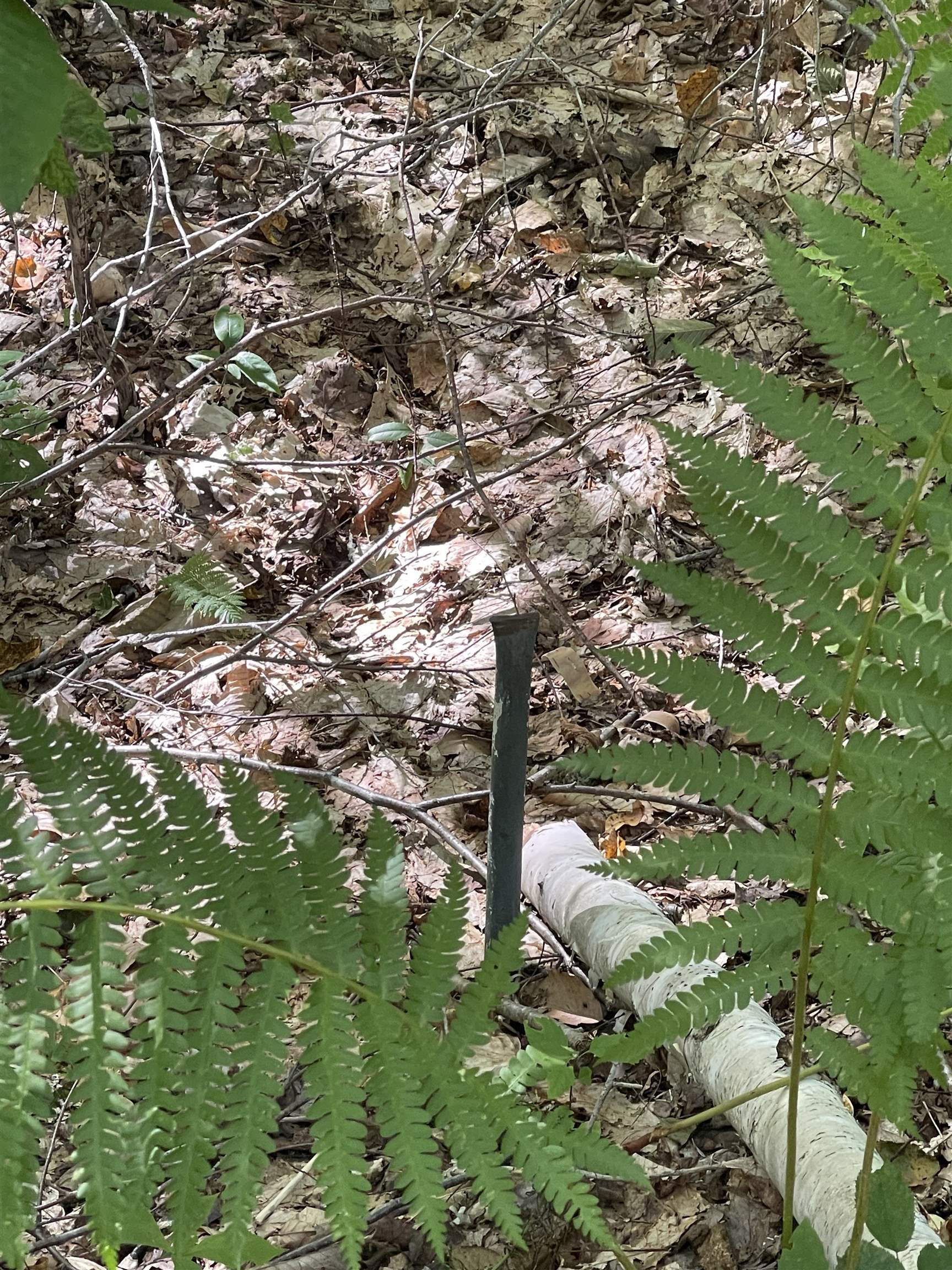 0000 Wonder Lane Unit: Lot 18