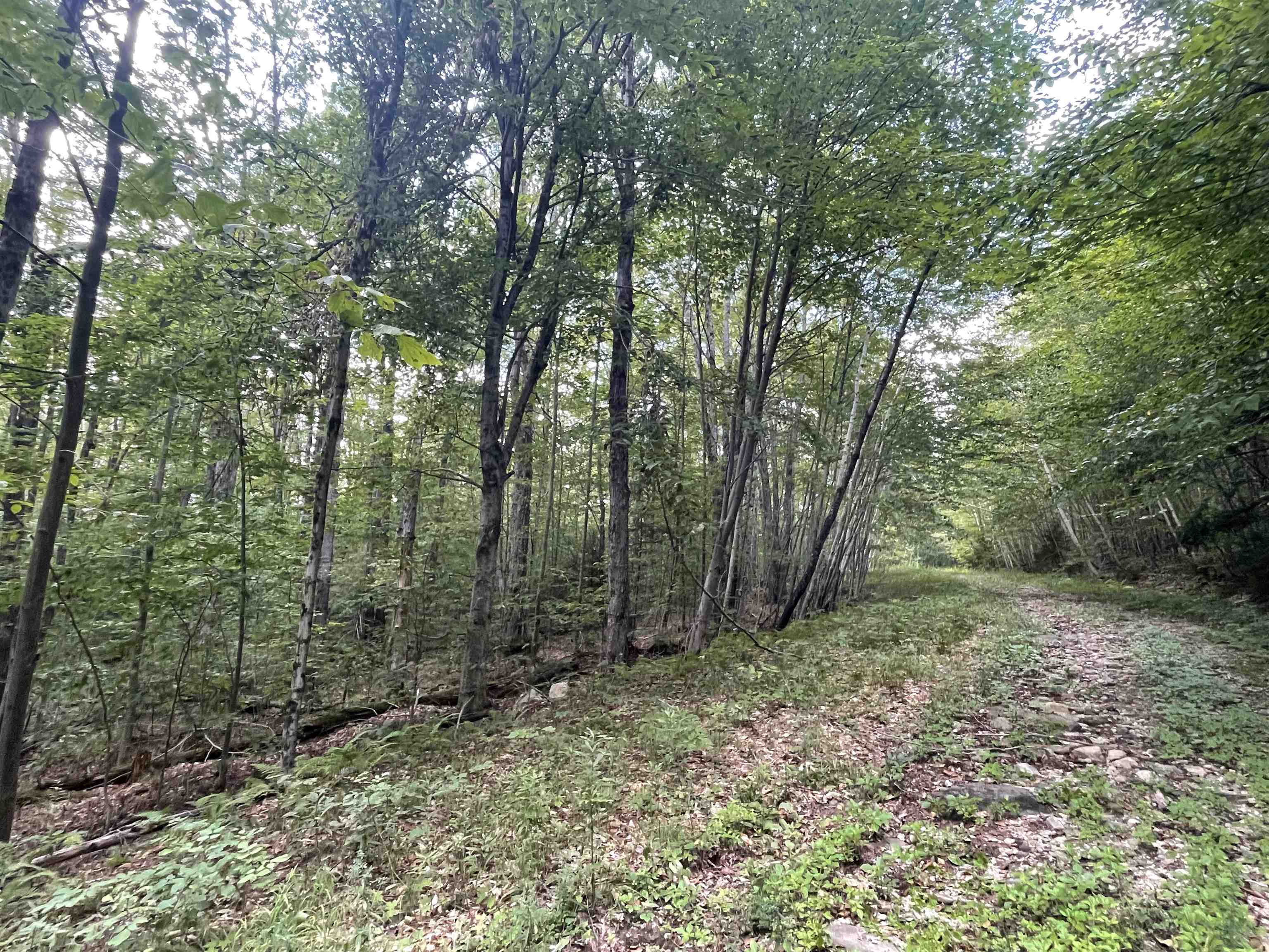 0000 Wonder Lane Unit: Lot 18