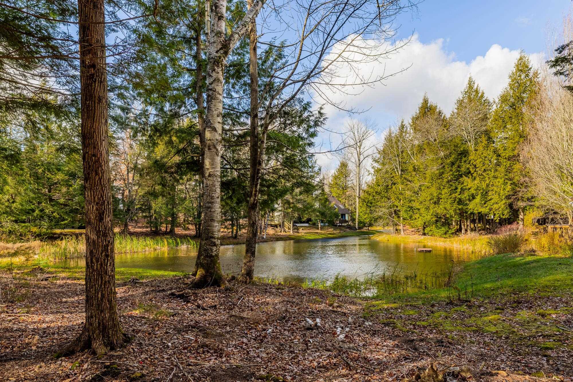 9 Pond View Road Unit: 9