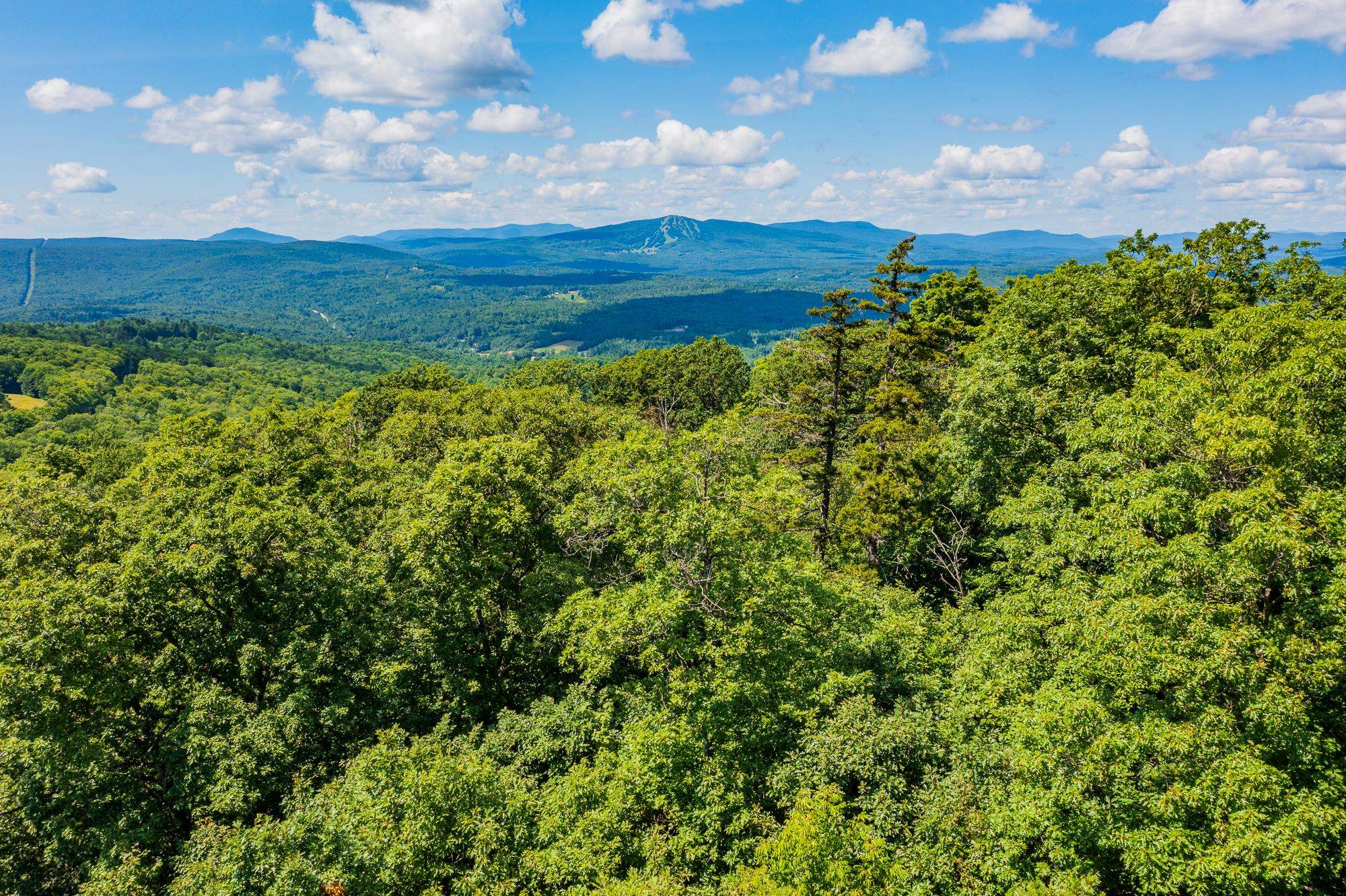 4.1 Pearl Buck Drive