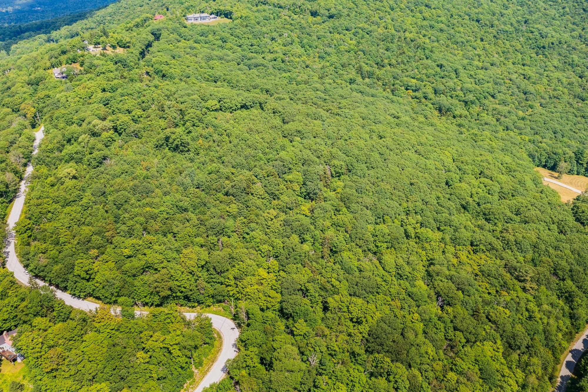 4.1 Pearl Buck Drive