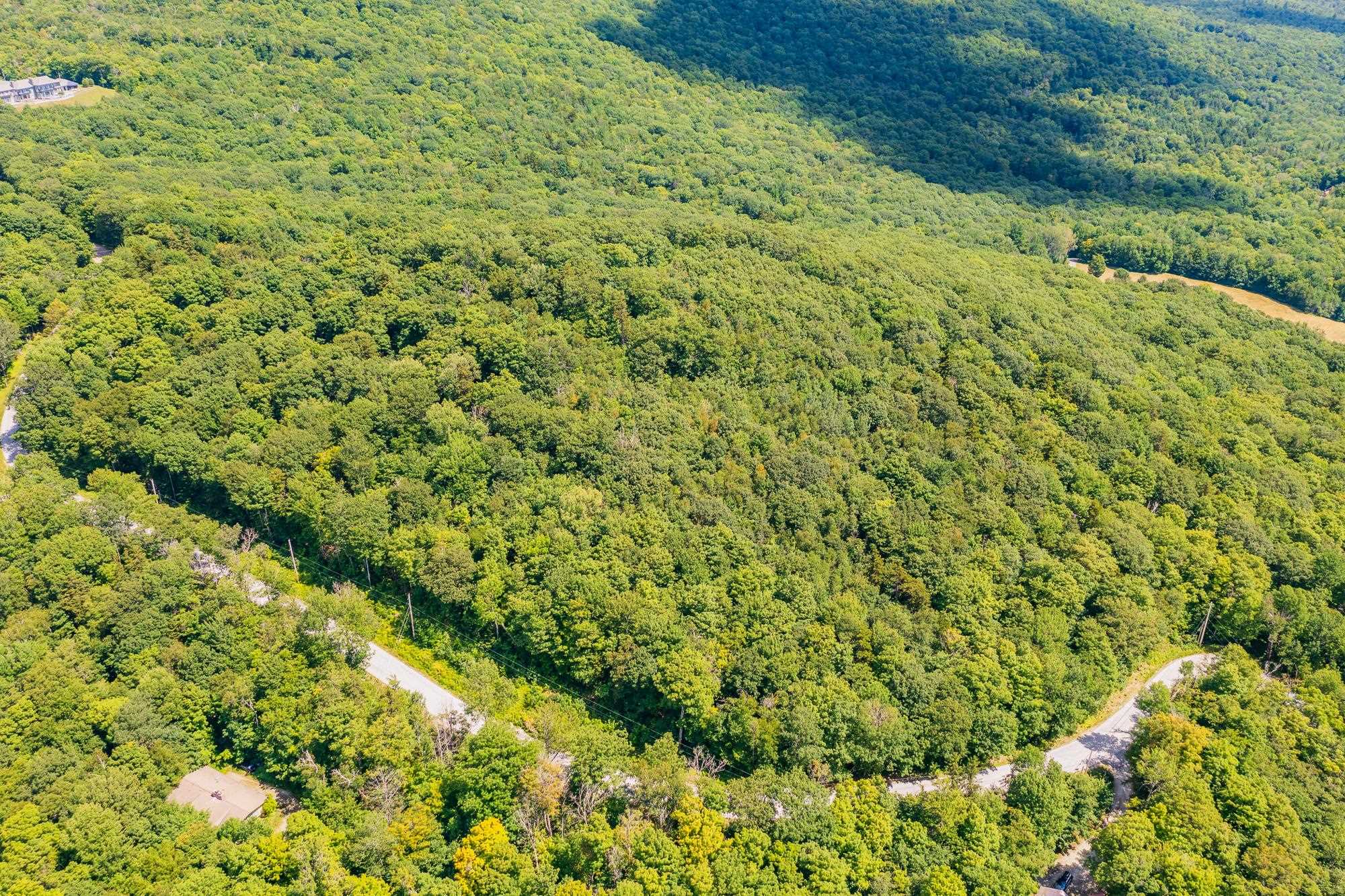 4.1 Pearl Buck Drive