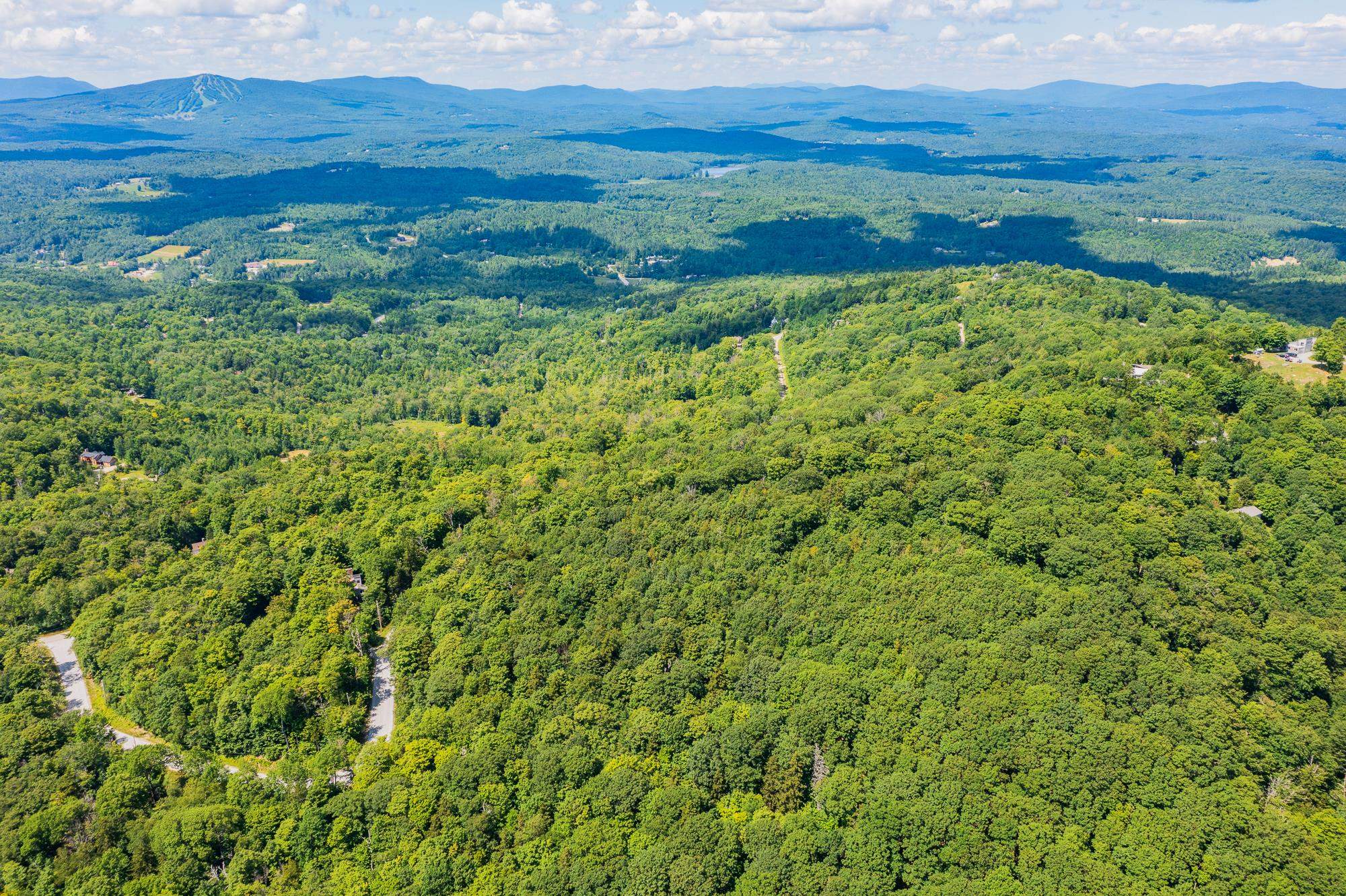 4.1 Pearl Buck Drive