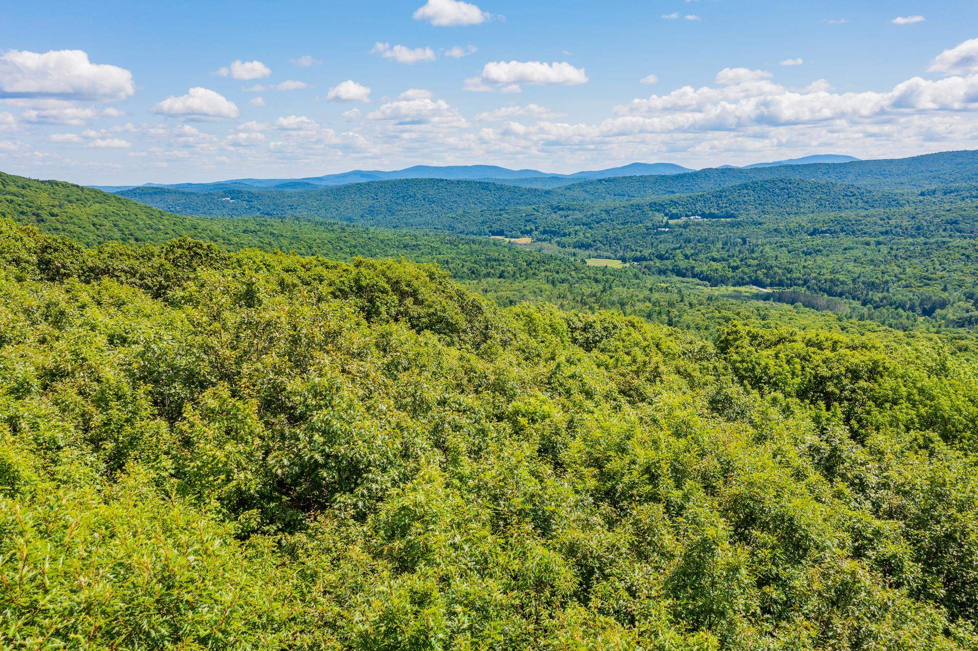 4.1 Pearl Buck Drive