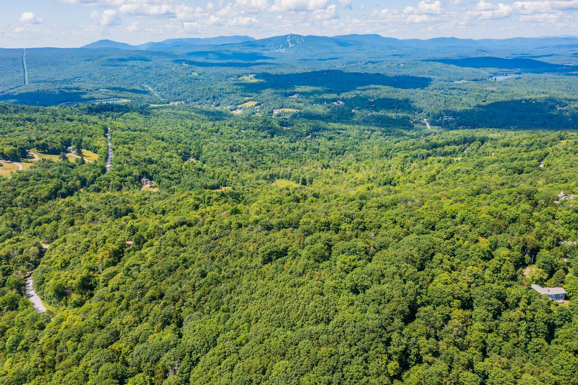 4.1 Pearl Buck Drive