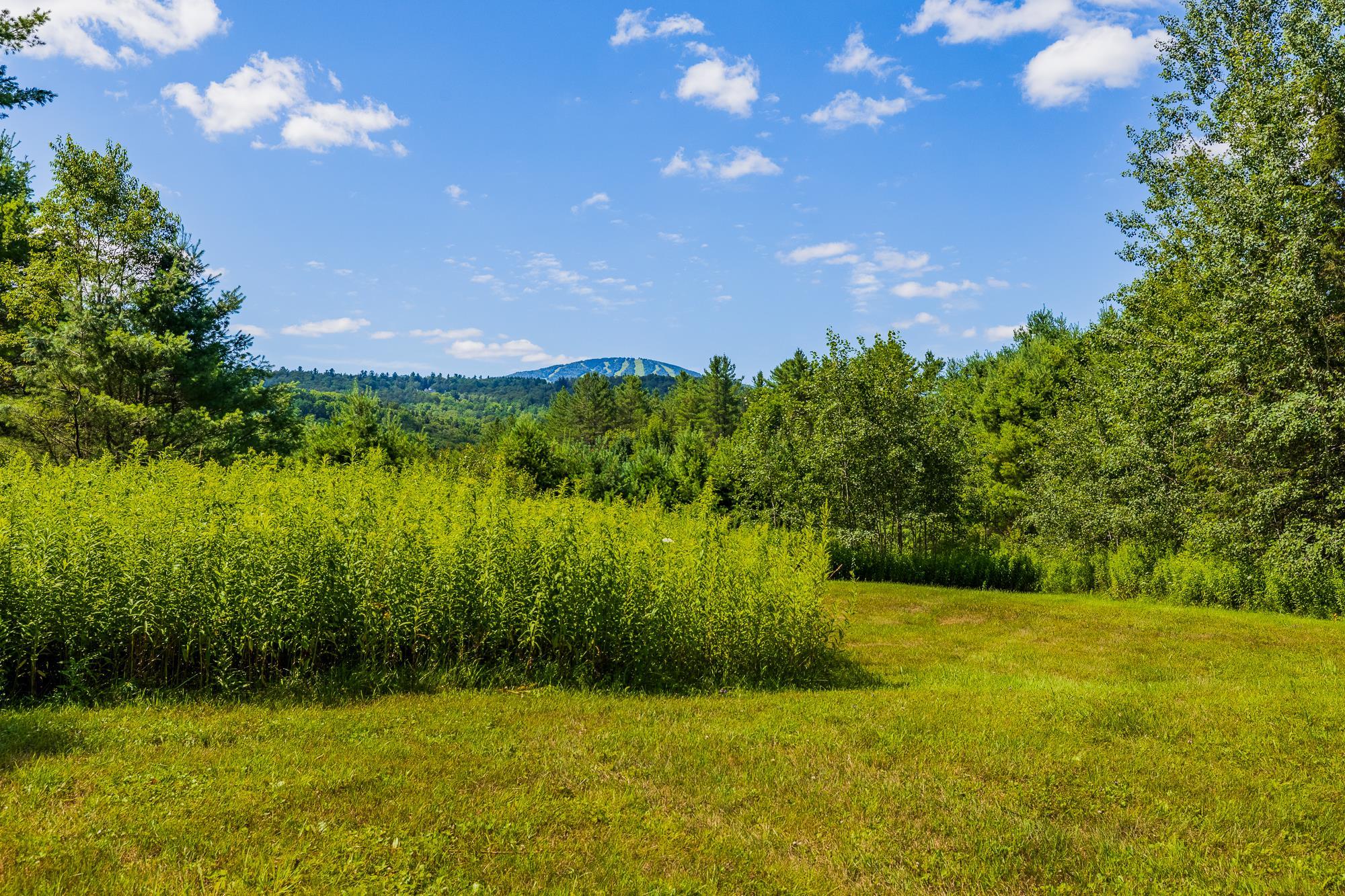 0 Winhall Hollow Road Unit: Lot 23 Ravenwood