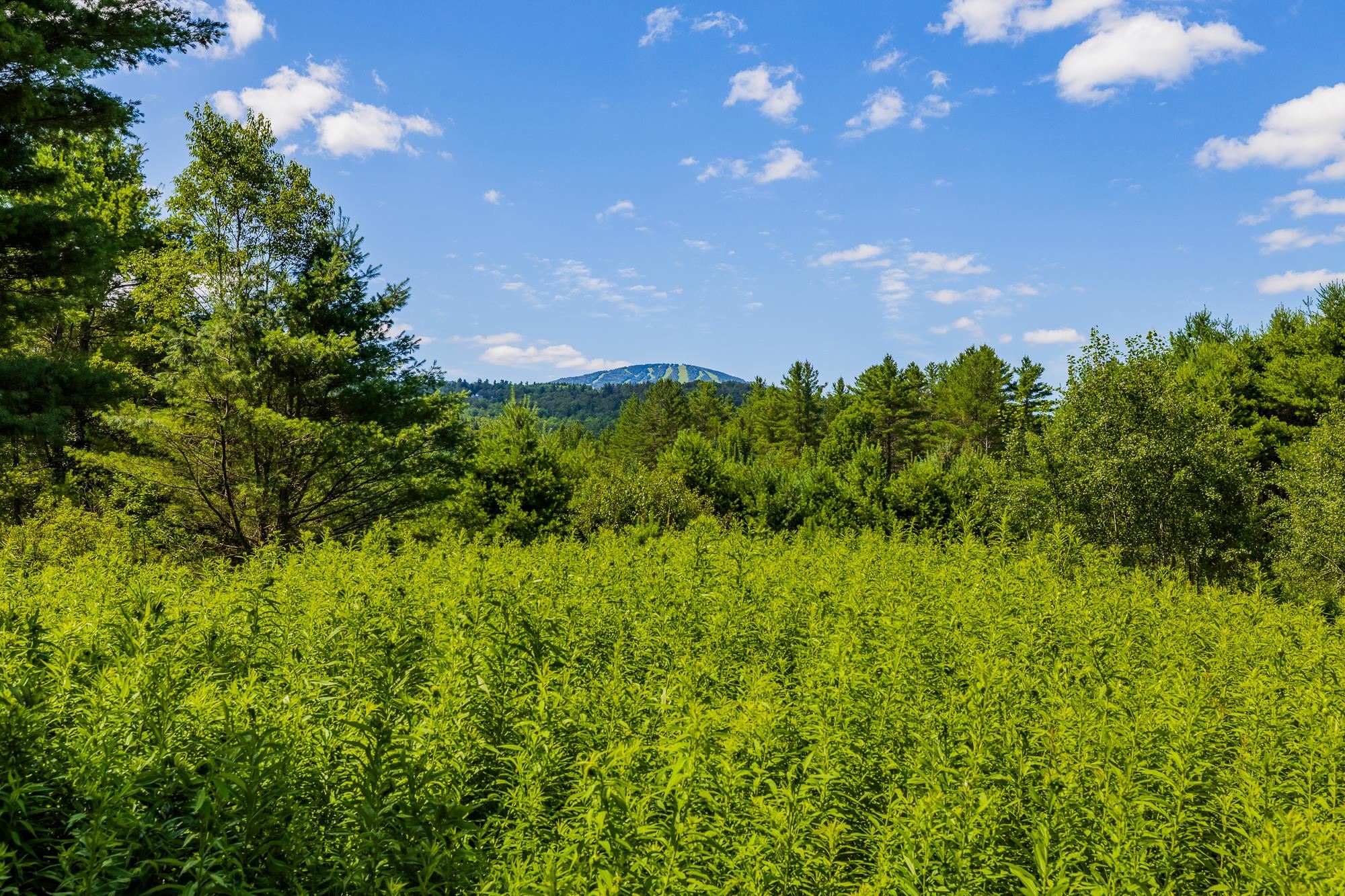 0 Winhall Hollow Road Unit: Lot 23 Ravenwood