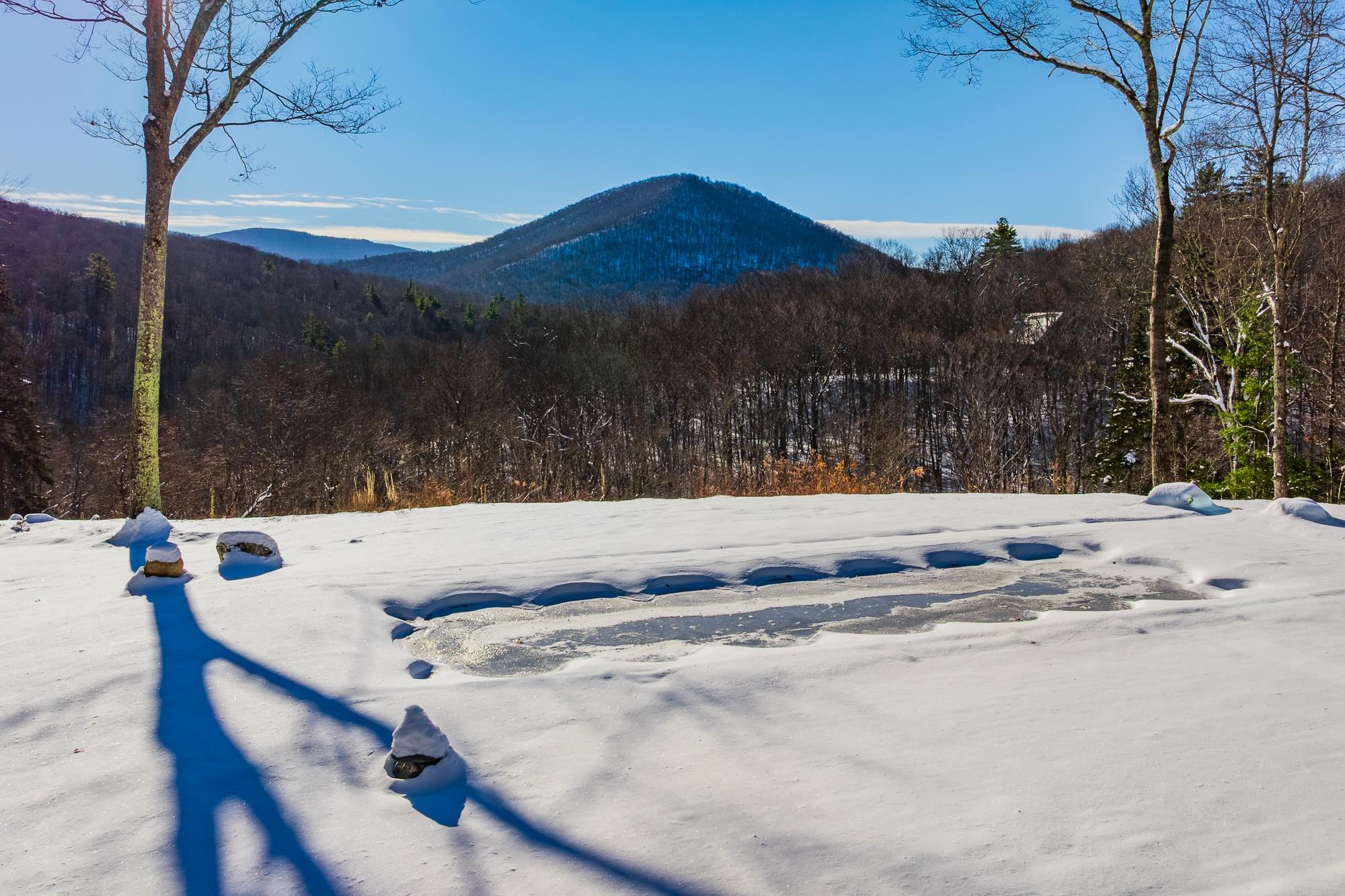 276 Wilcox Hollow Road