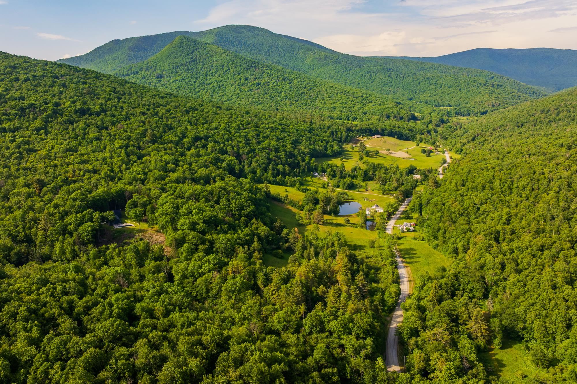 276 Wilcox Hollow Road