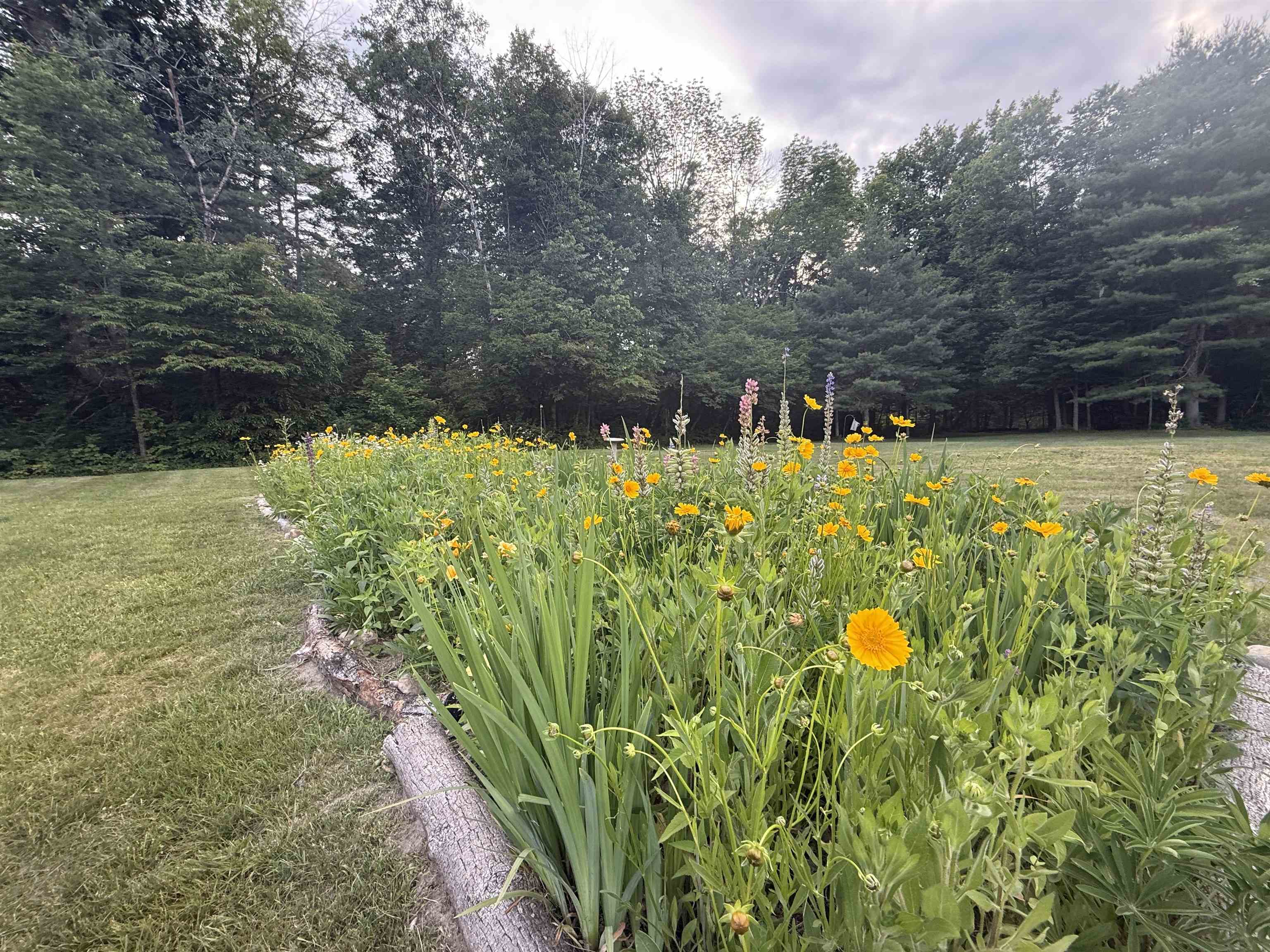 85 Limerick Lane Unit: A & B