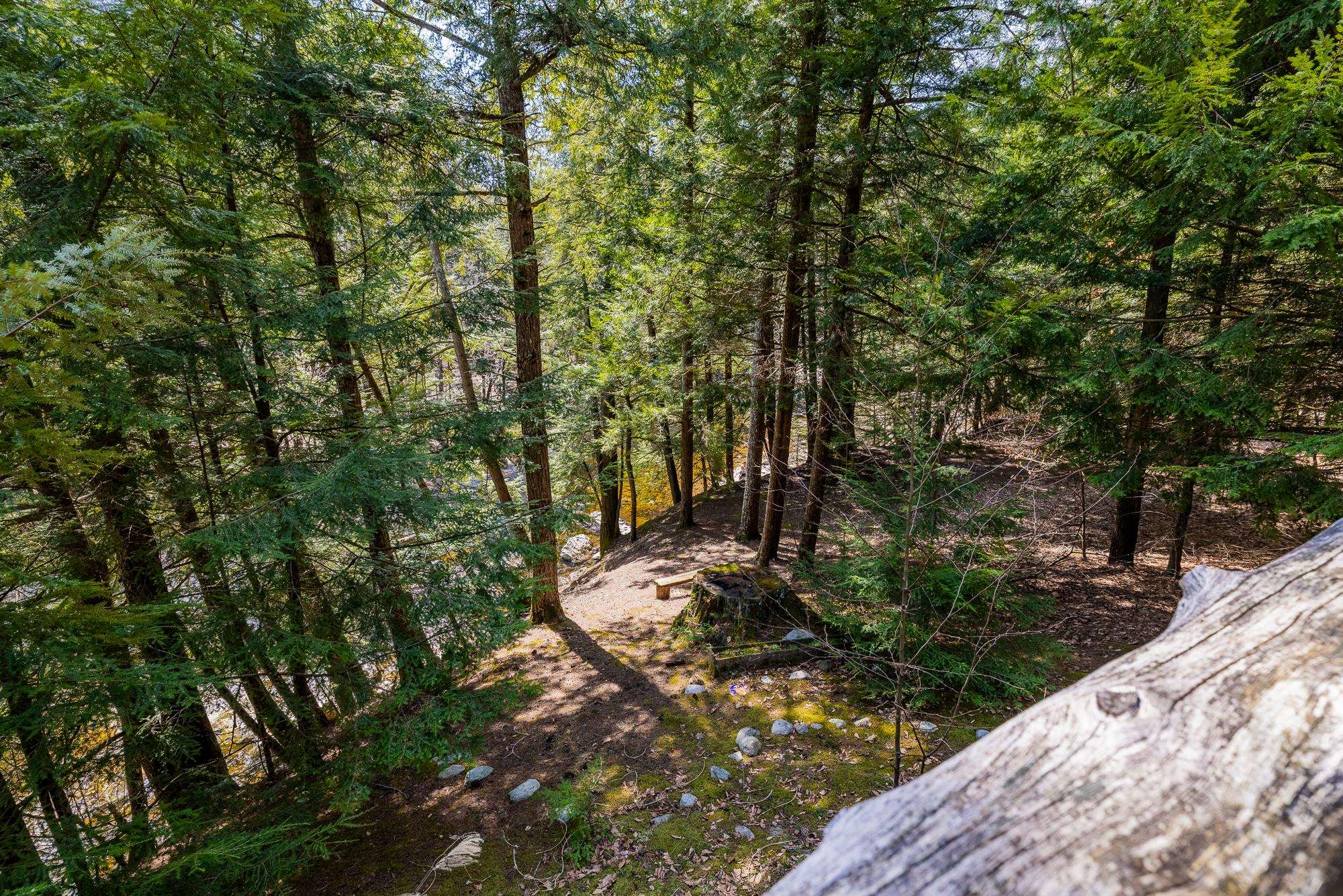 553 Roaring Branch Road