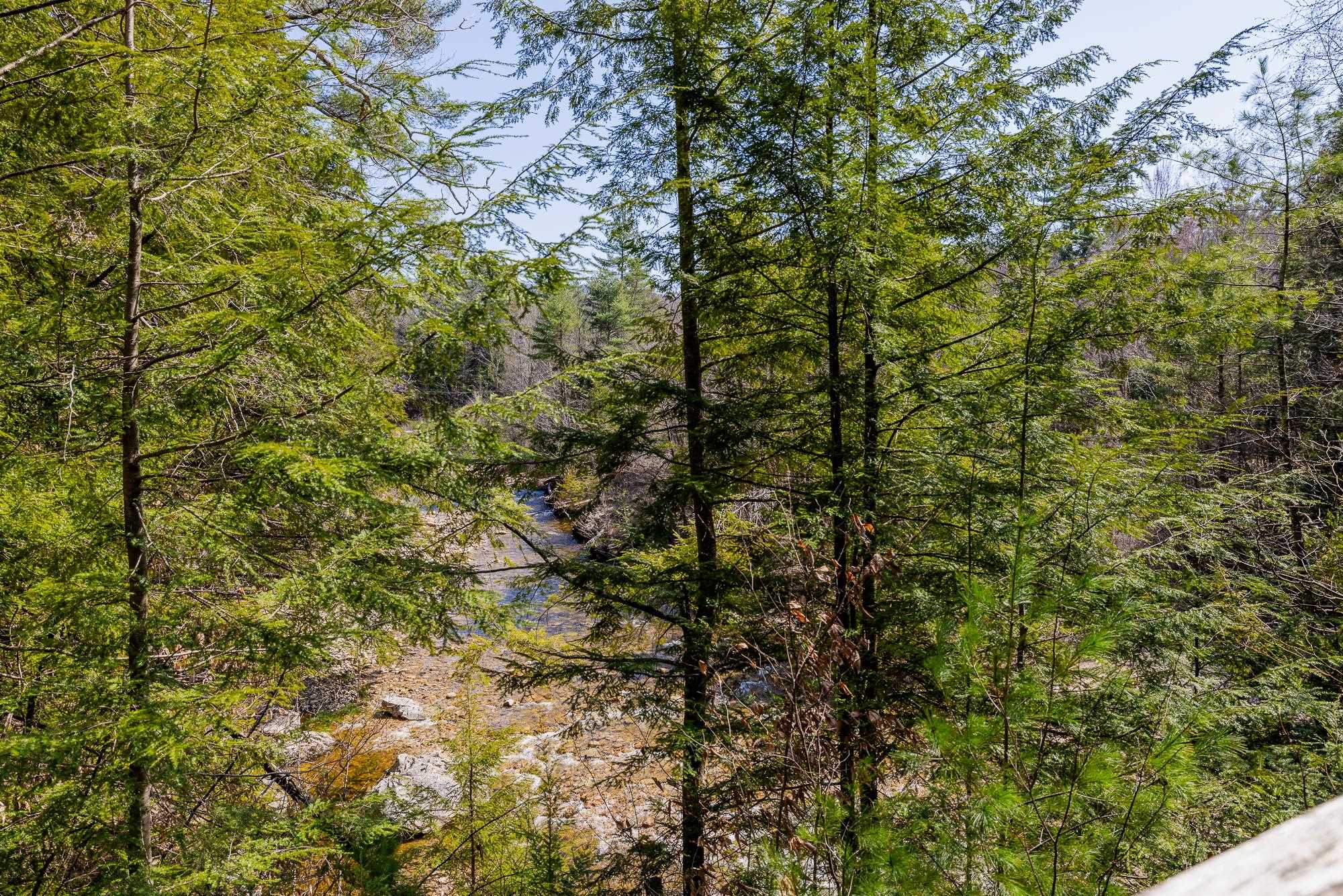 553 Roaring Branch Road