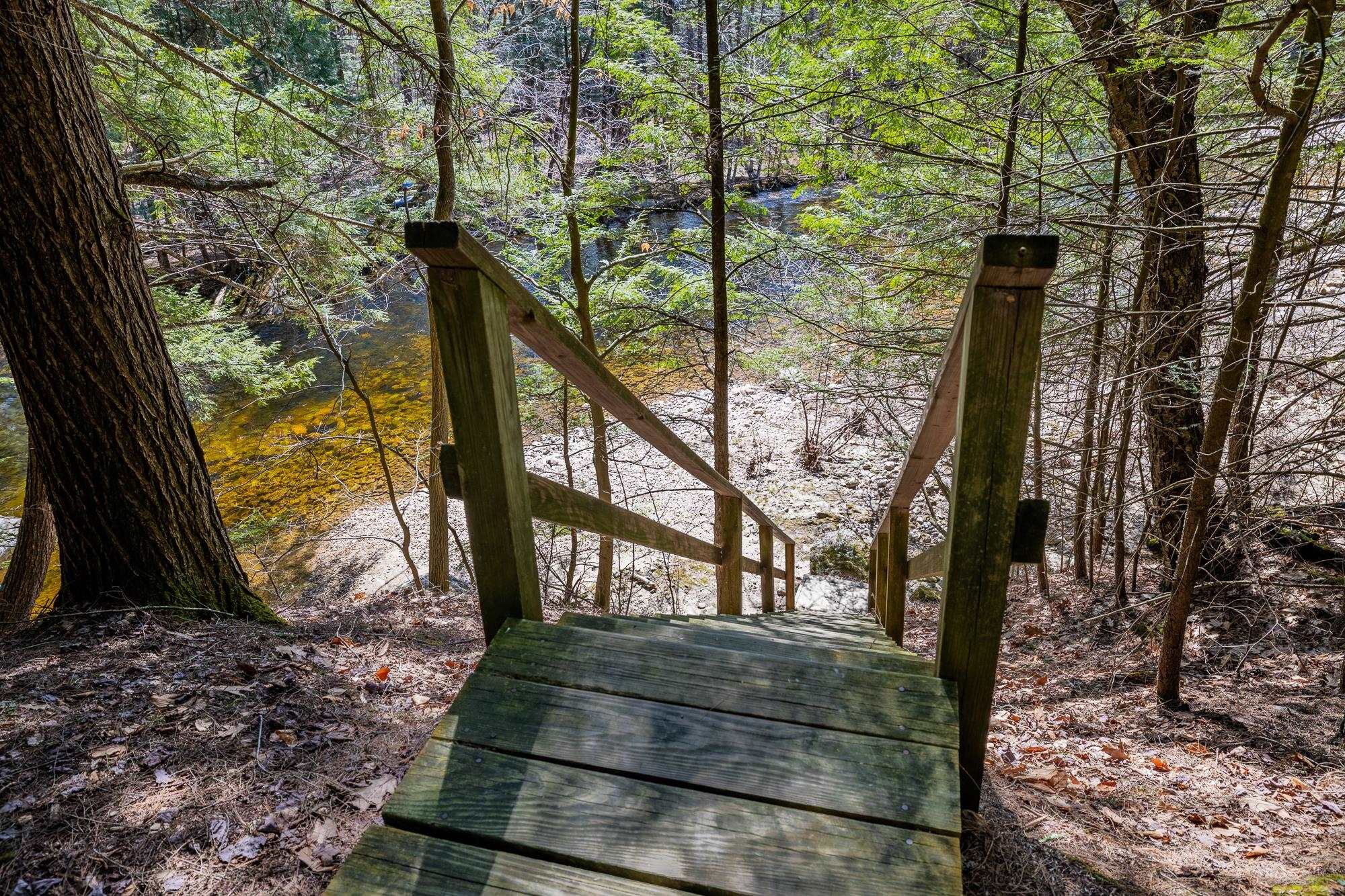 553 Roaring Branch Road