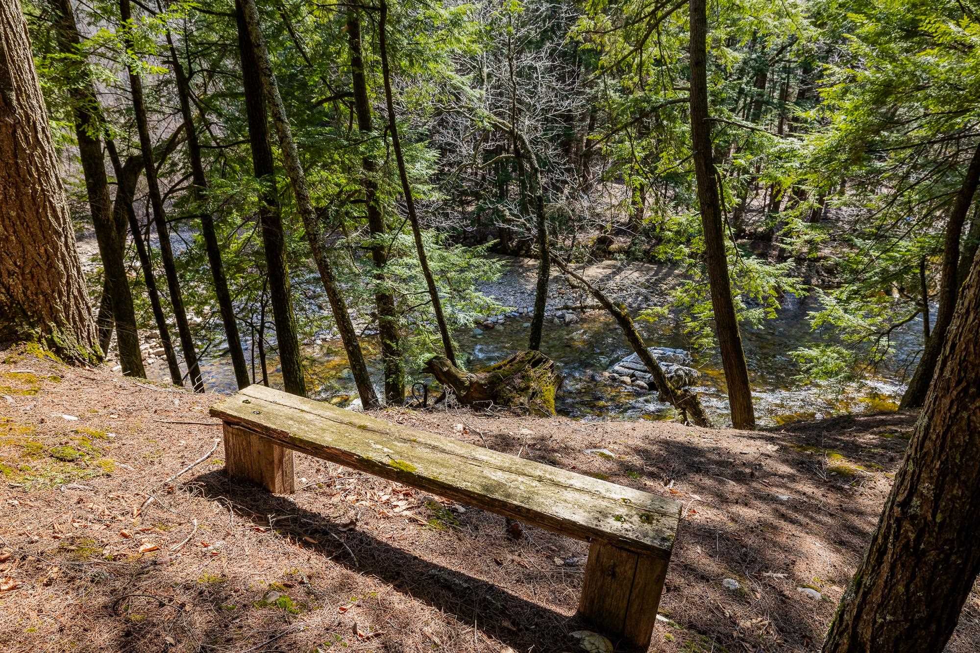 553 Roaring Branch Road