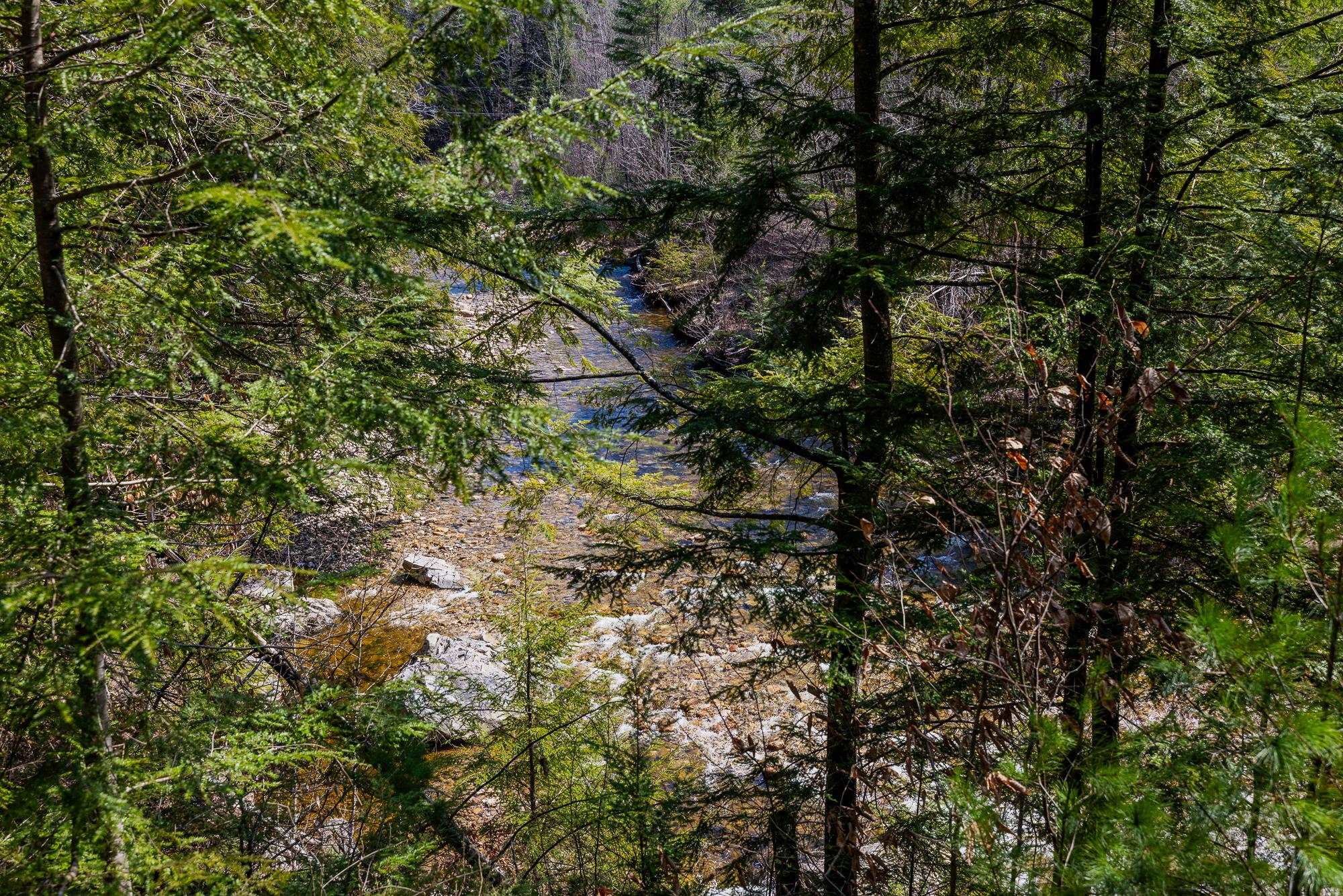 553 Roaring Branch Road