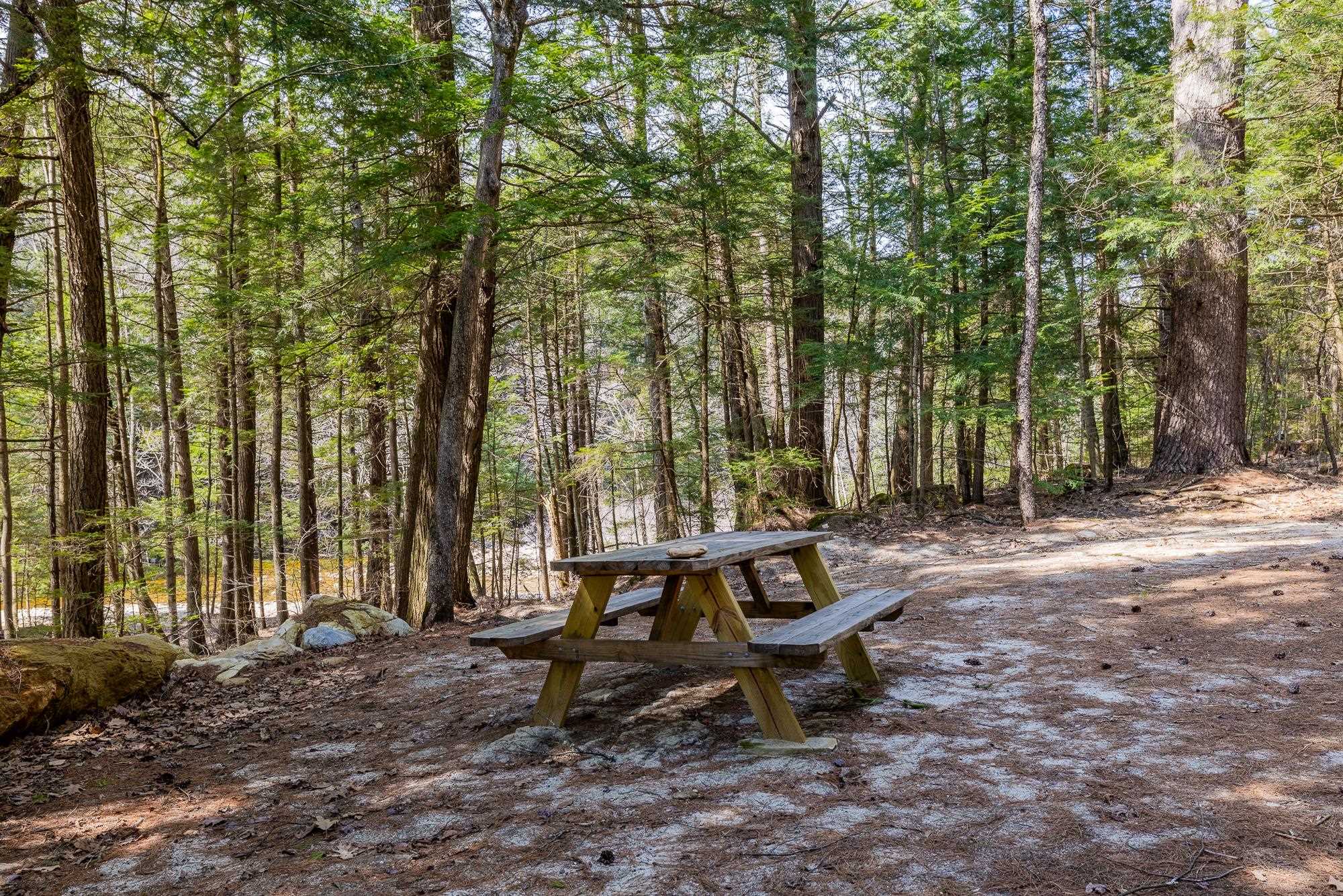 553 Roaring Branch Road