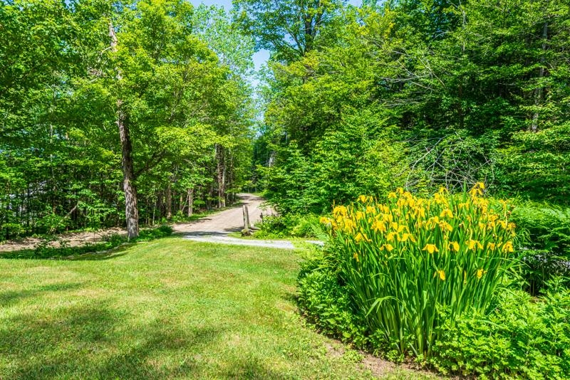 55 Uphill Road