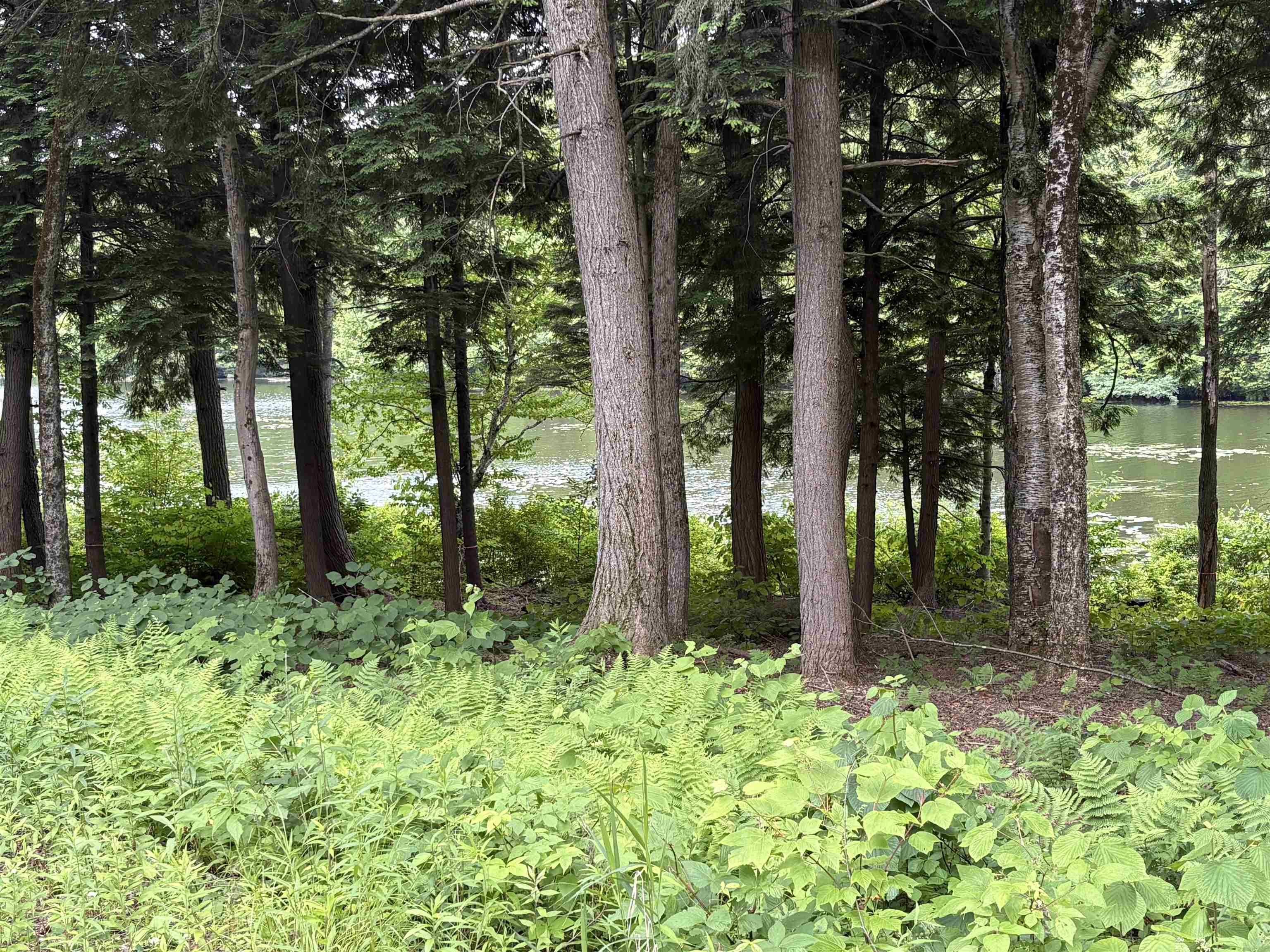 340 Tyanoga Road Unit: Lot X