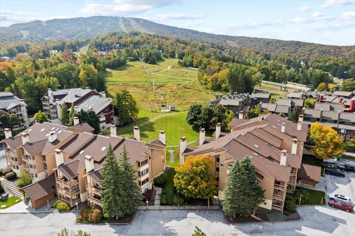 778 Stratton Mountain Access Road Unit: 2401