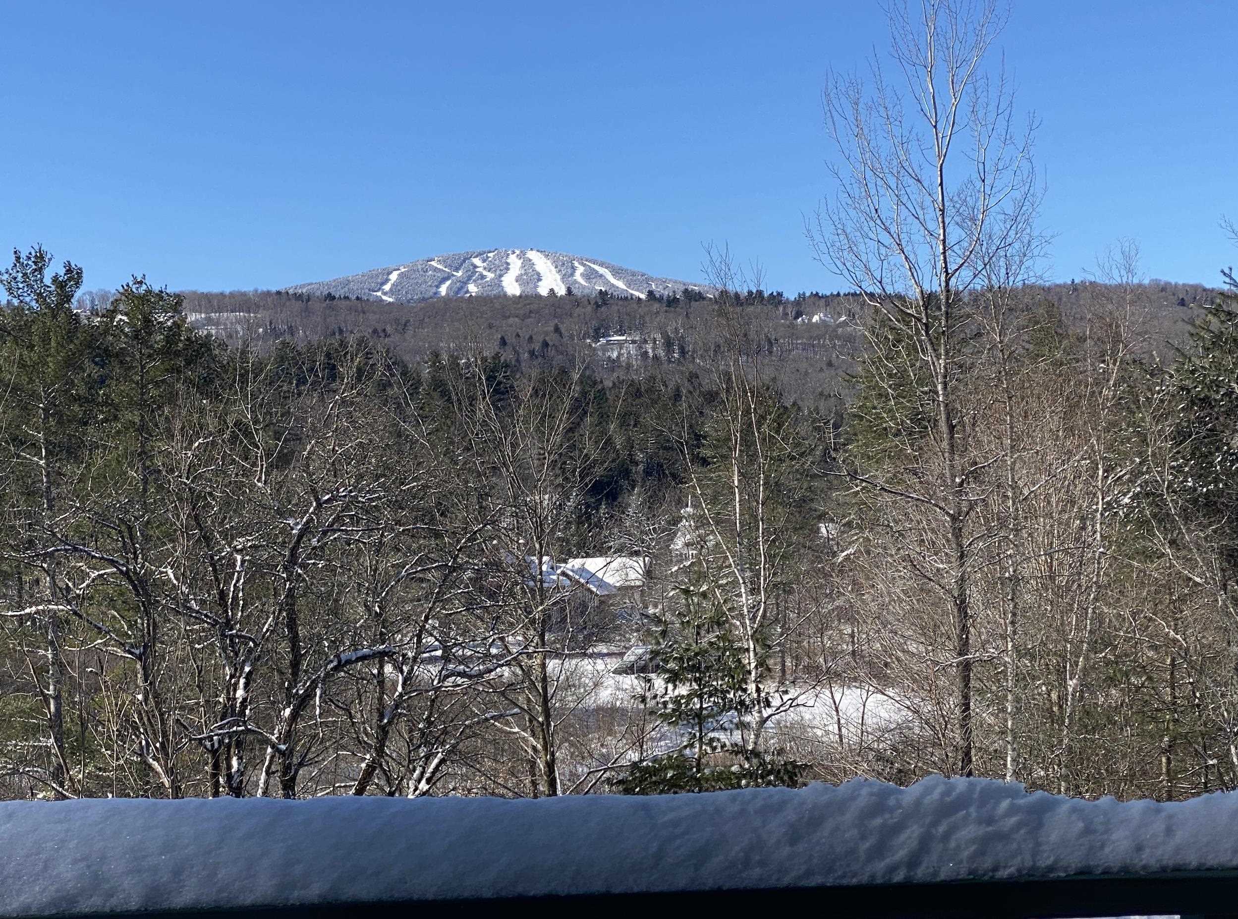 19 Winhall Condo Road Unit: 4