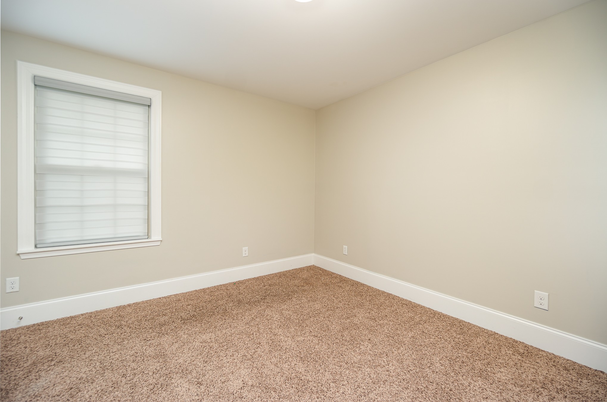 309 Dillehay Ct