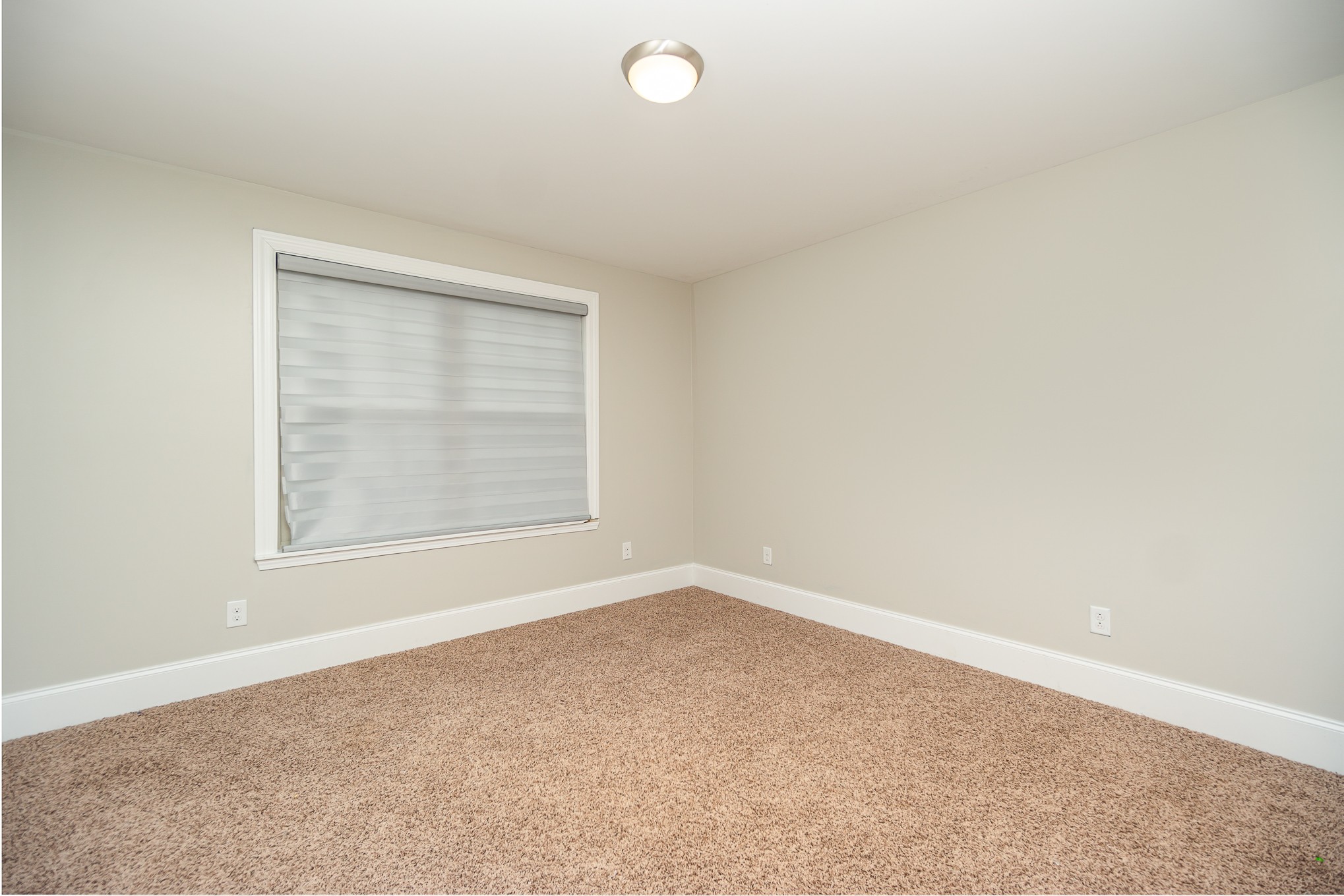 309 Dillehay Ct