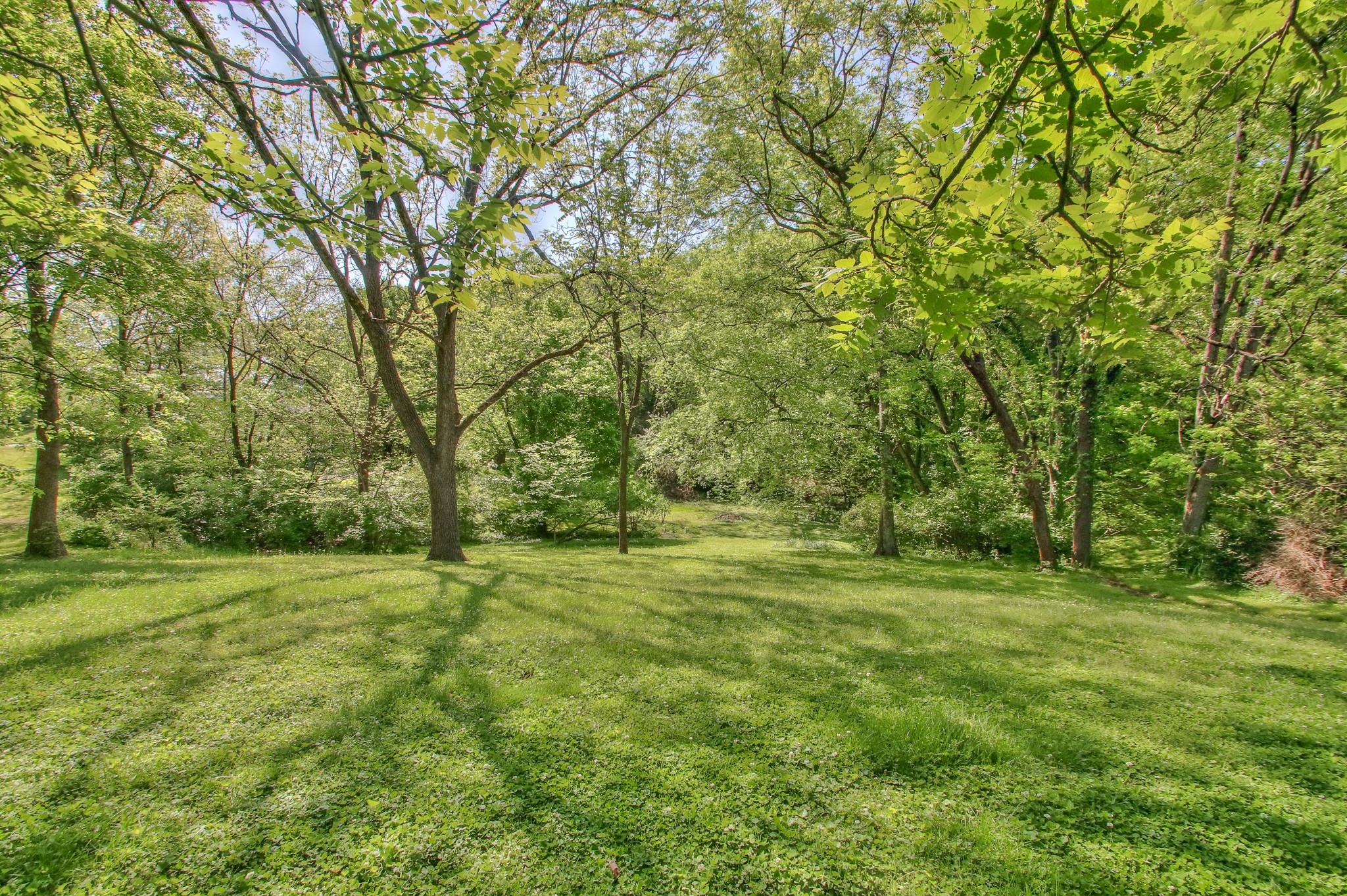 2504 Alvinwood Dr