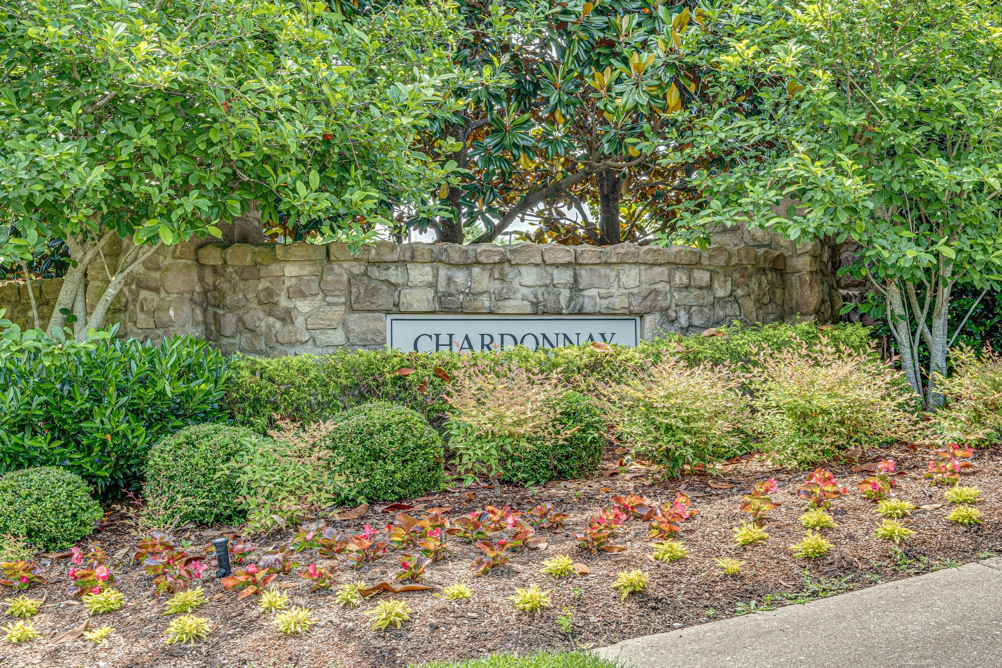 9013 Chardonnay Trce