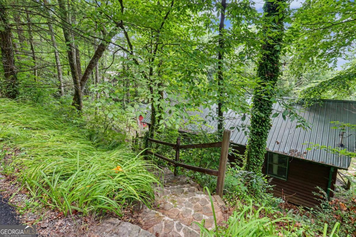 574 Bachelors Button Drive