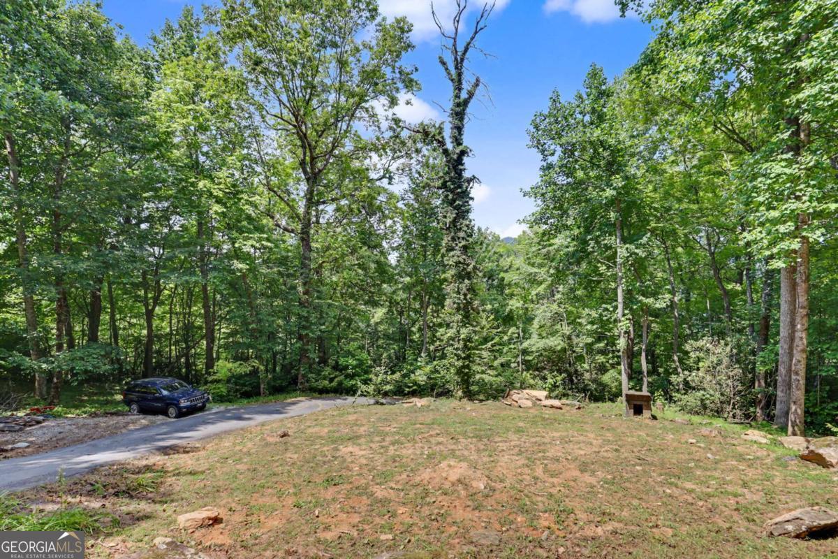 574 Bachelors Button Drive