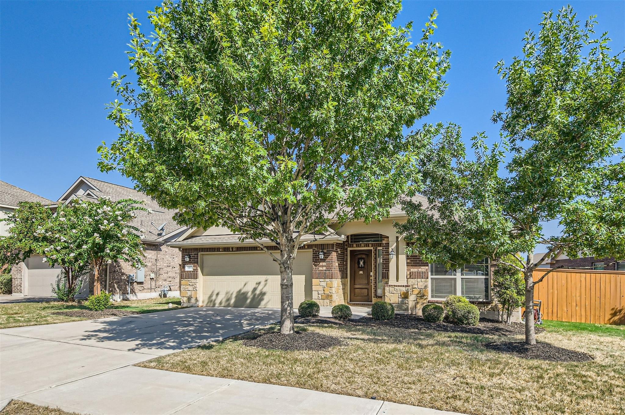 113 Lily Turf CV
