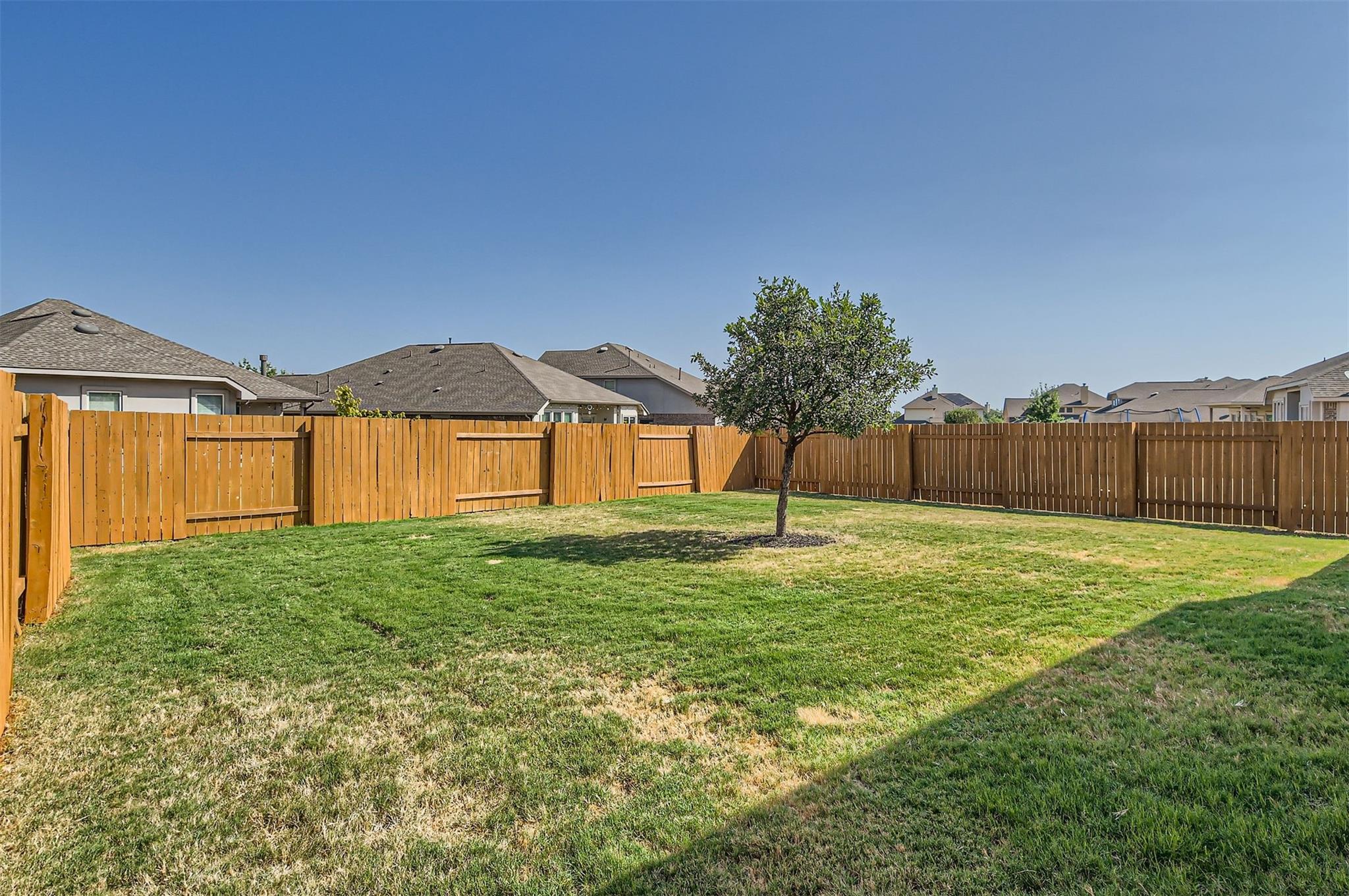 113 Lily Turf CV