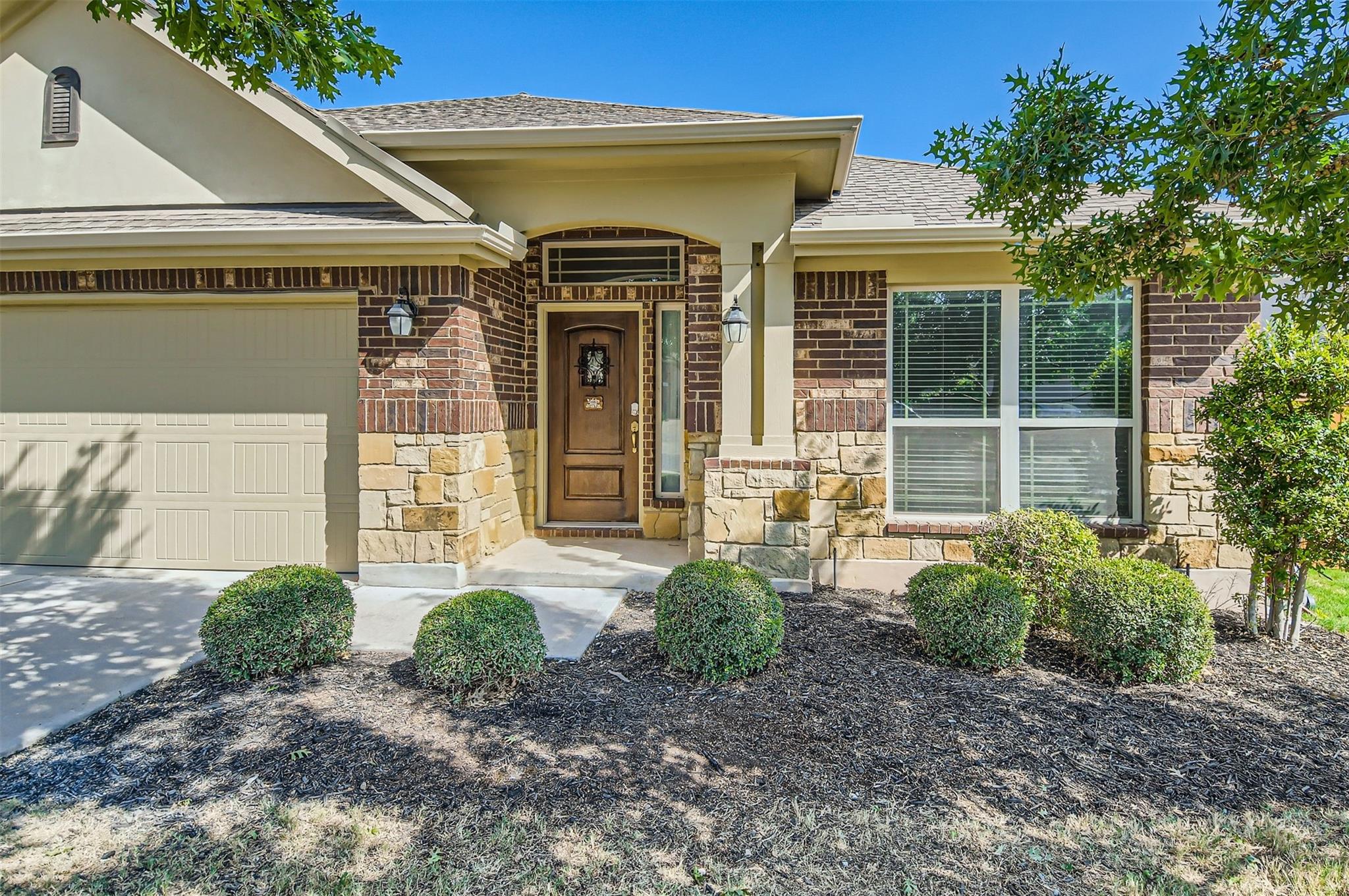 113 Lily Turf CV