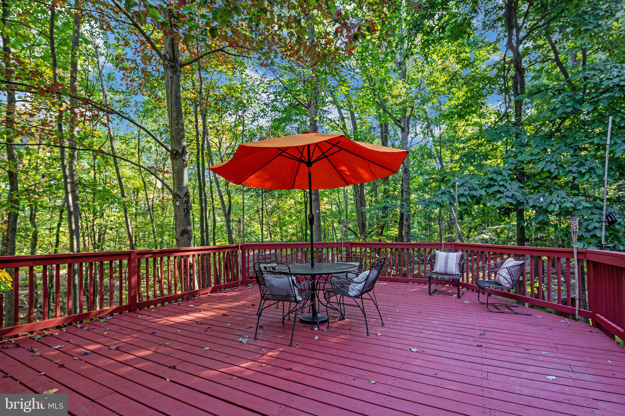 863 The Woods Rd