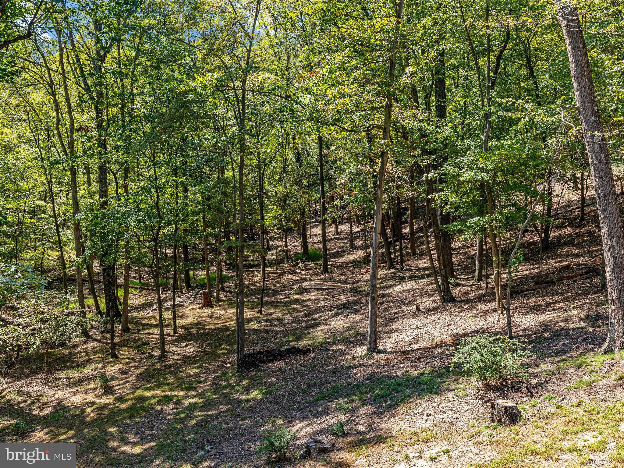 1359 Lodge Rd